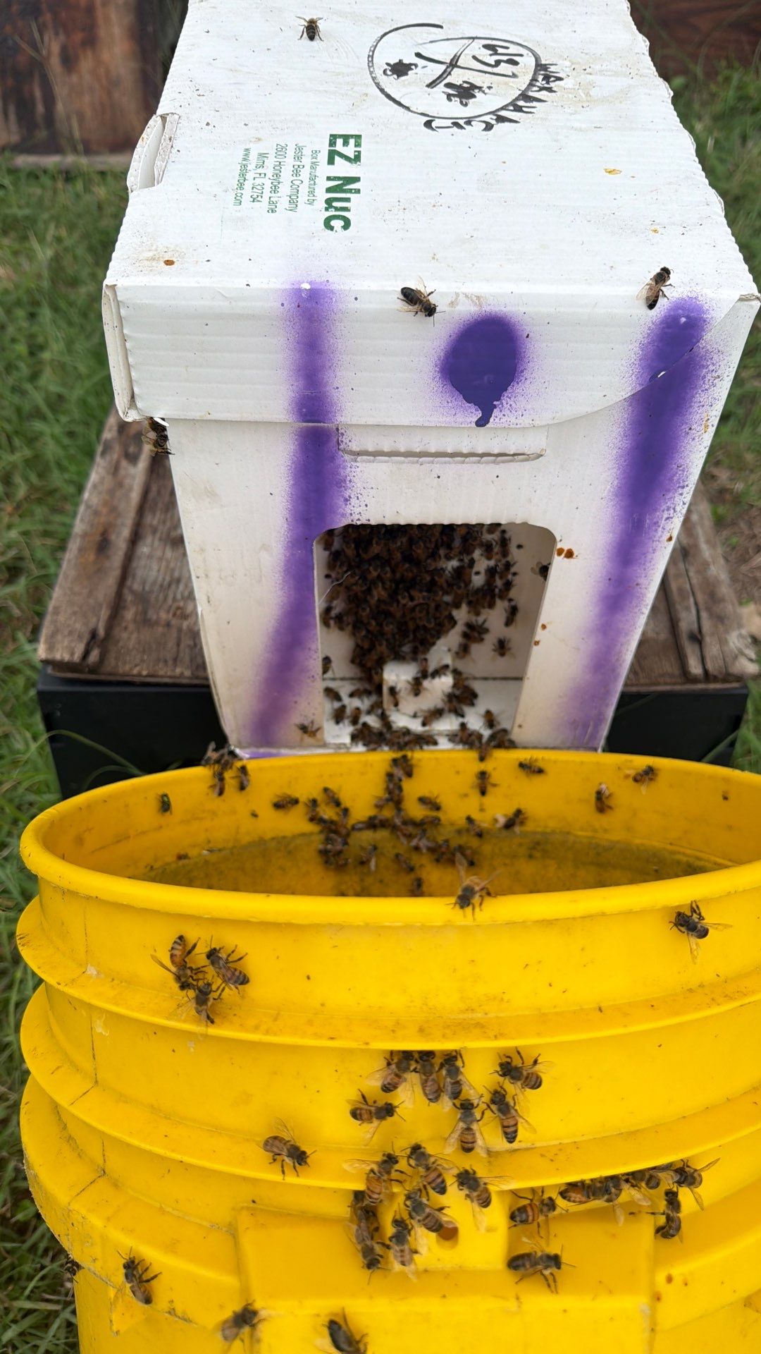 Project in Waxahachie, TX by Rockwall Honey Bee Company