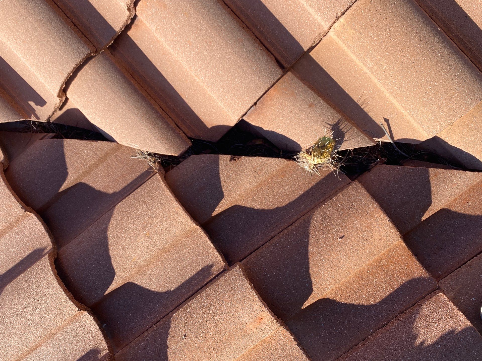 Residential Tile Roof Underlayment Replacement and Repair in Tucson by West Coast Roofing AZ