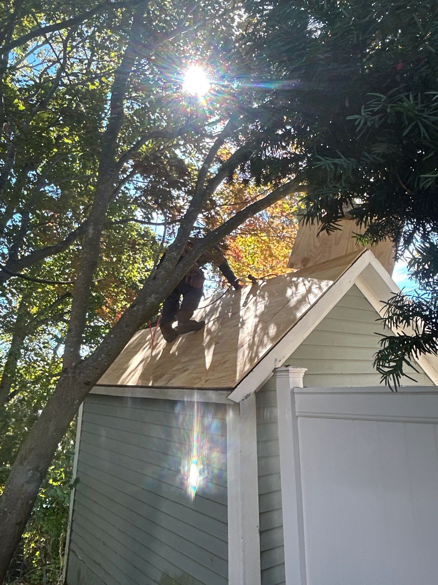 Garage & Shed Roof Replacement | Maynard, MA by Mighty Dog Roofing of Greater Middlesex County