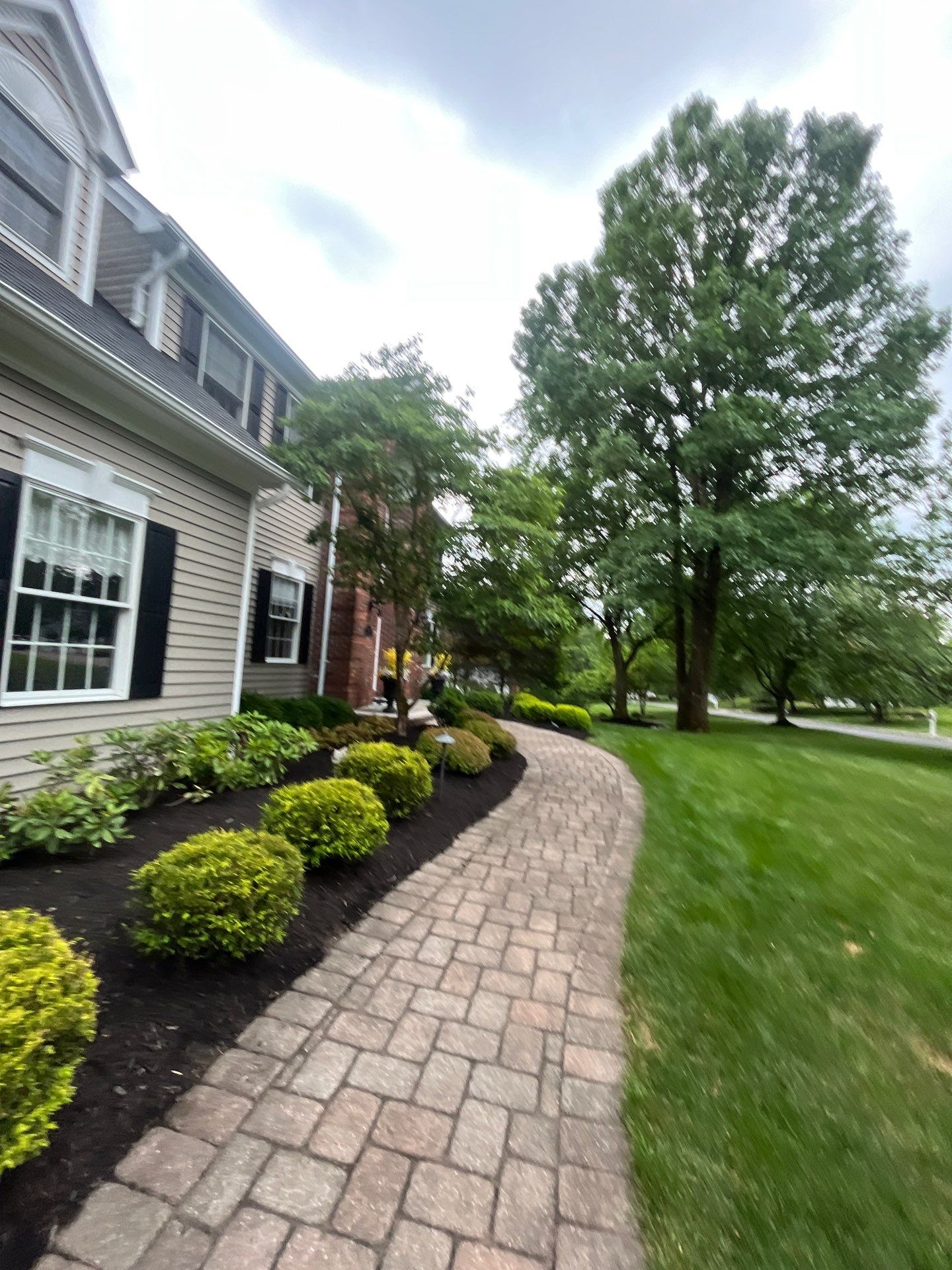 Comprehensive Shrub and Ornamental Bed Maintenance in Basking Ridge by Ants Plants