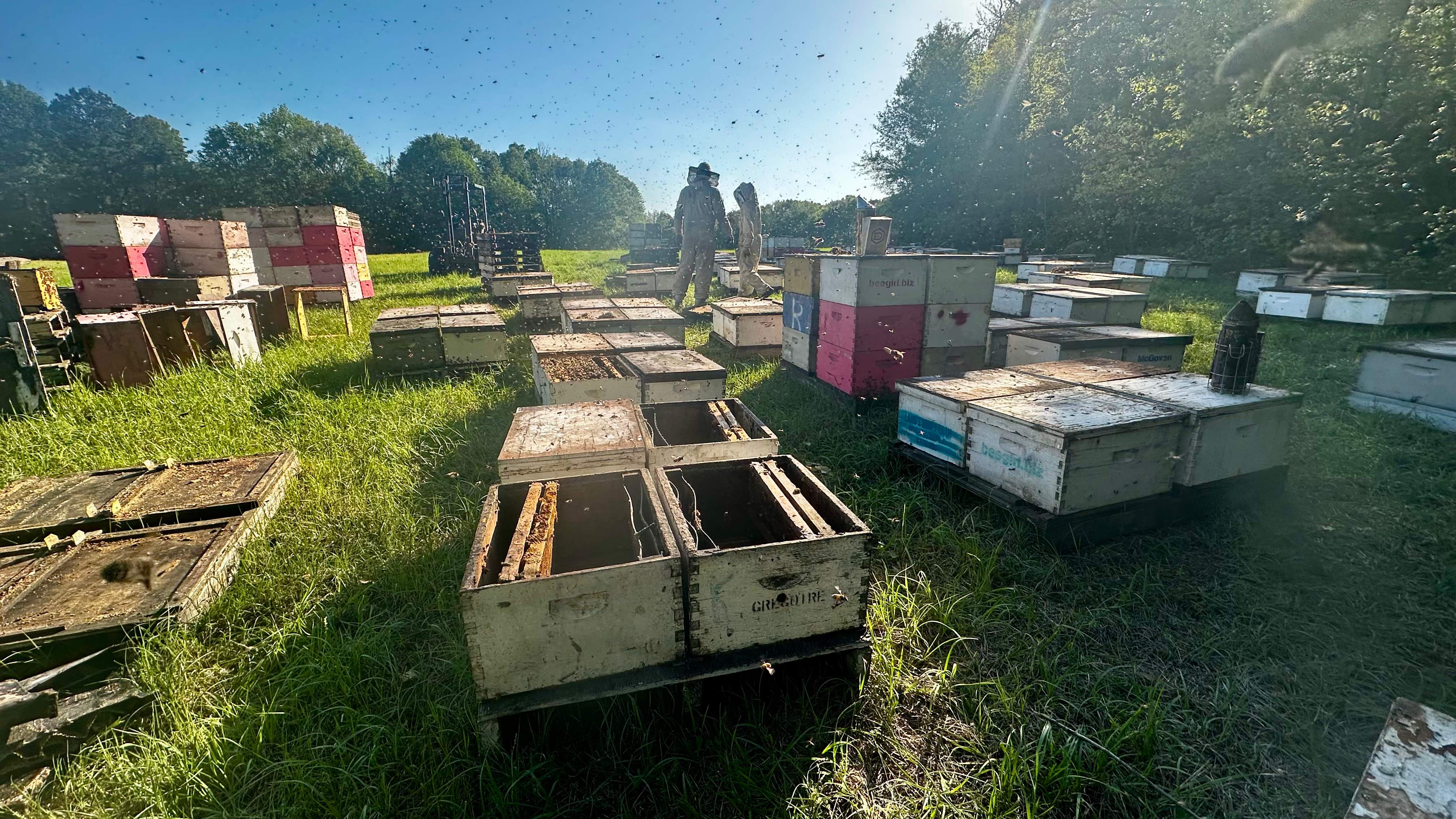 Traylor's Hay Meadow Apiary by Rockwall Honey Bee Company