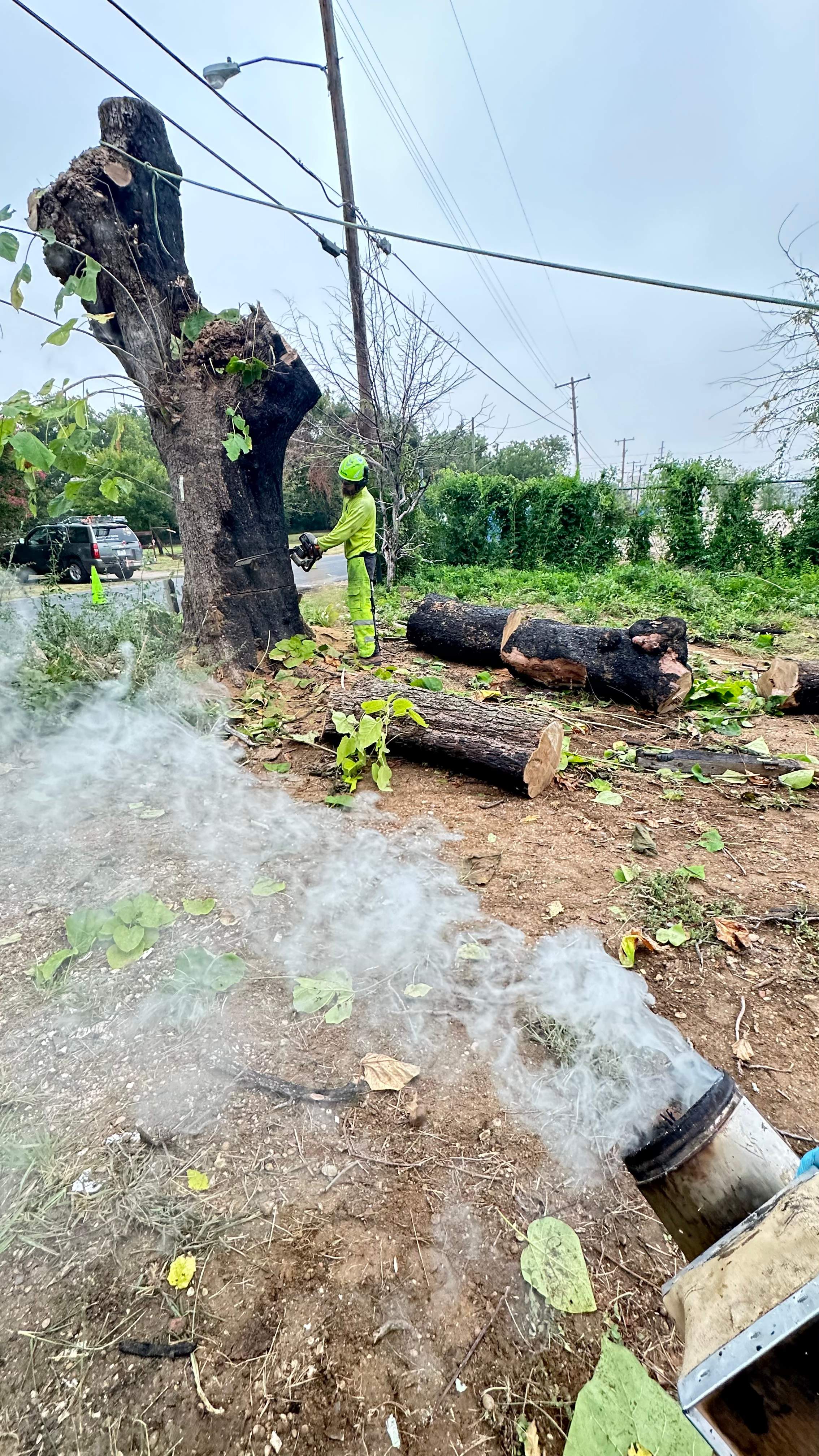 City Tree Company  by Rockwall Honey Bee Company