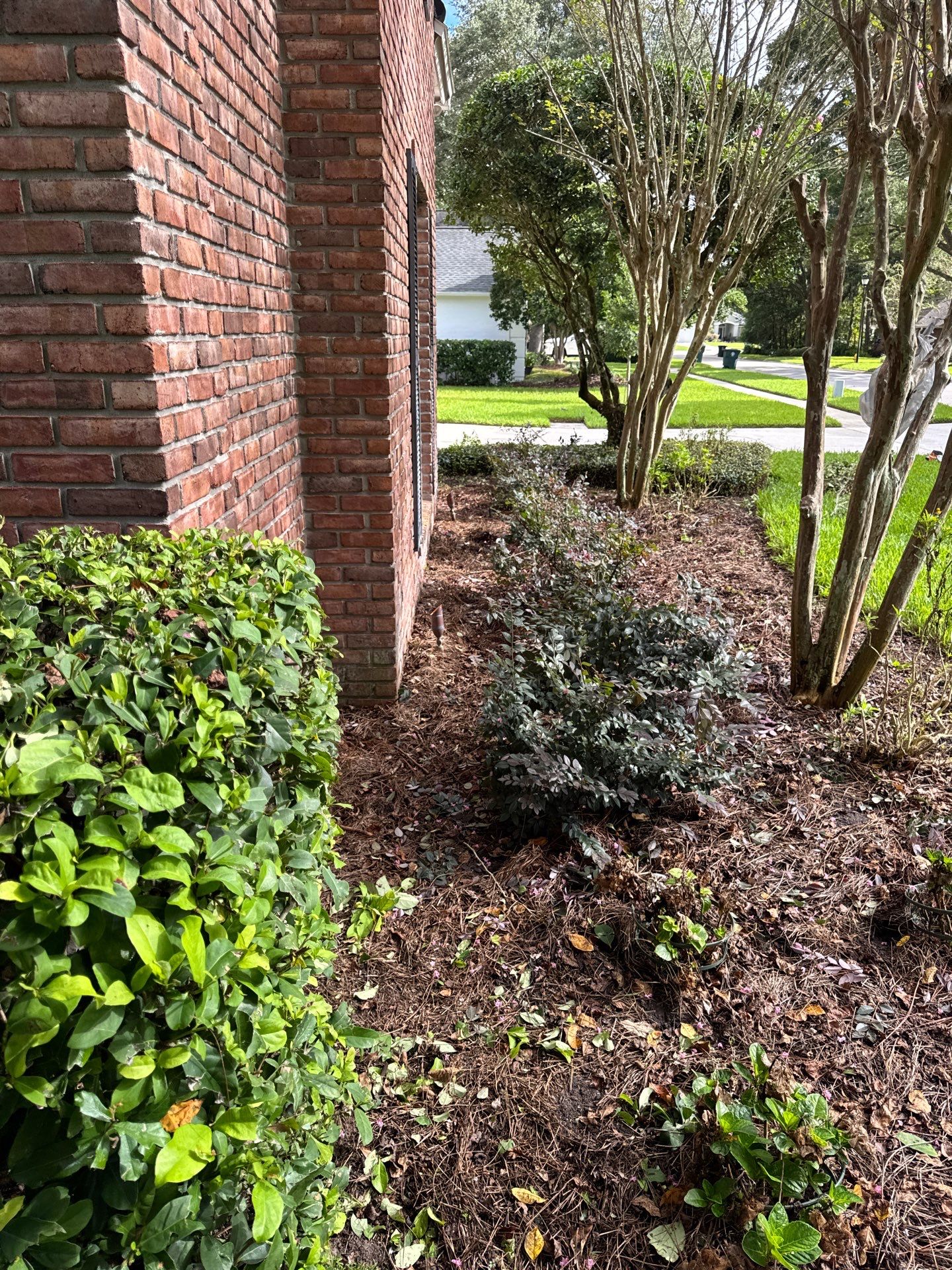 Residential | Shrub Trimming by ProGreen Services