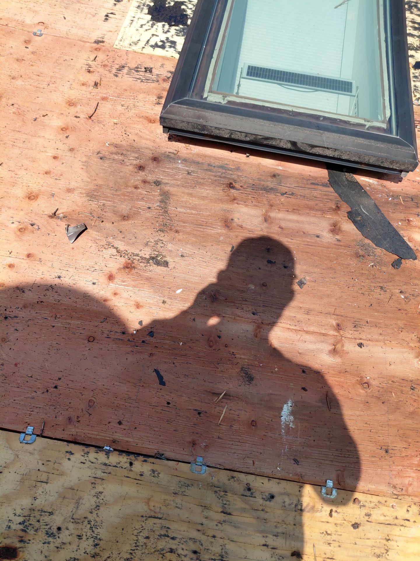 Alexandria: Residential Roof with CertainTeed Landmark Pro in Max Def Burnt Sienna by RM Banning, Inc.