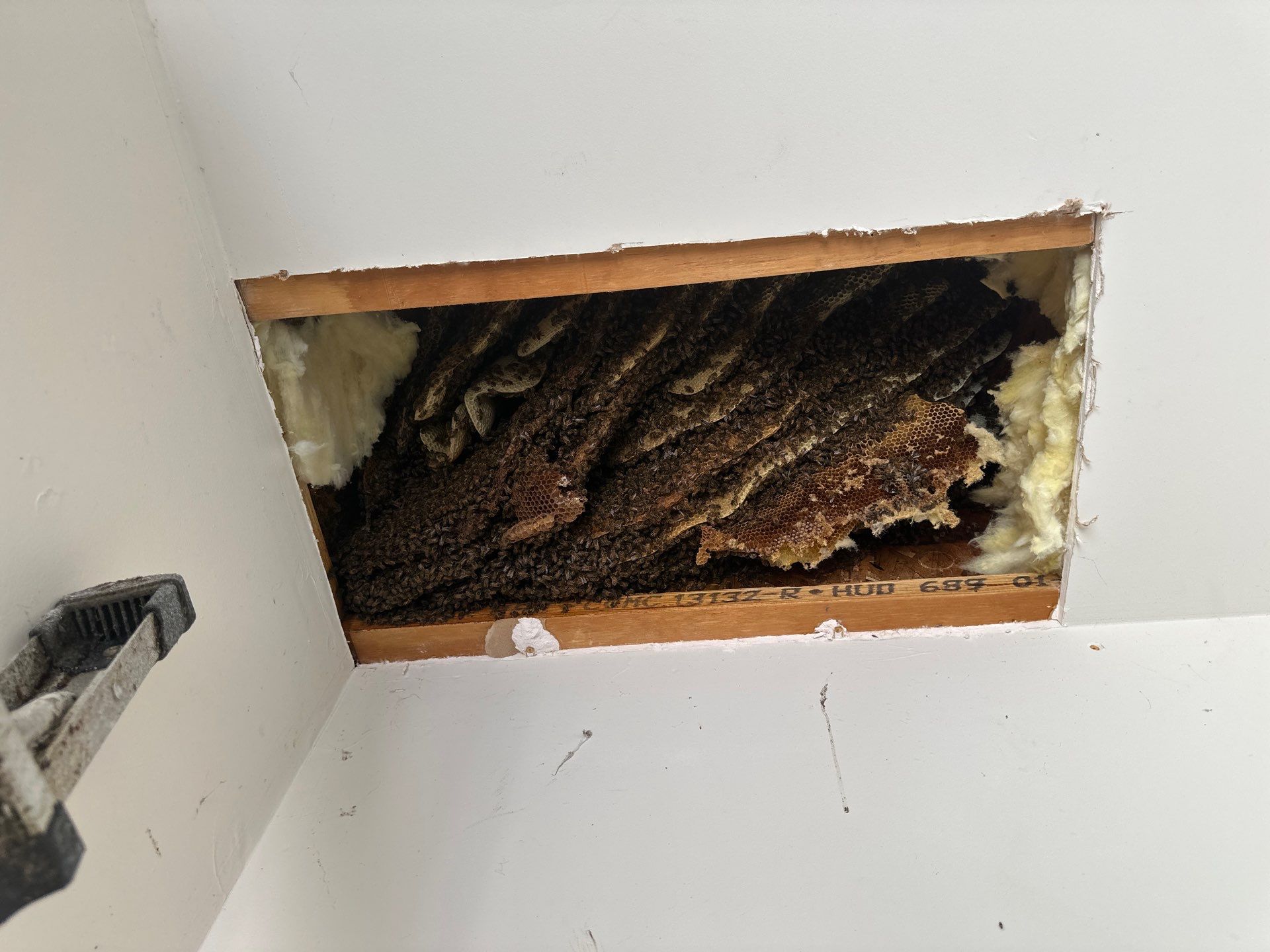 First Spring 2026 by Rockwall Honey Bee Company