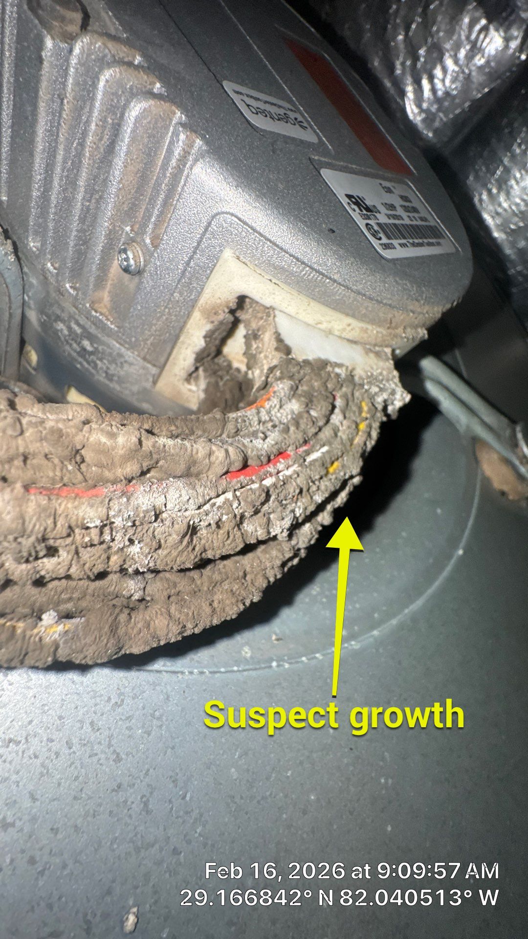 Air Duct Cleaning in Ocala by Hygienic Air, Inc