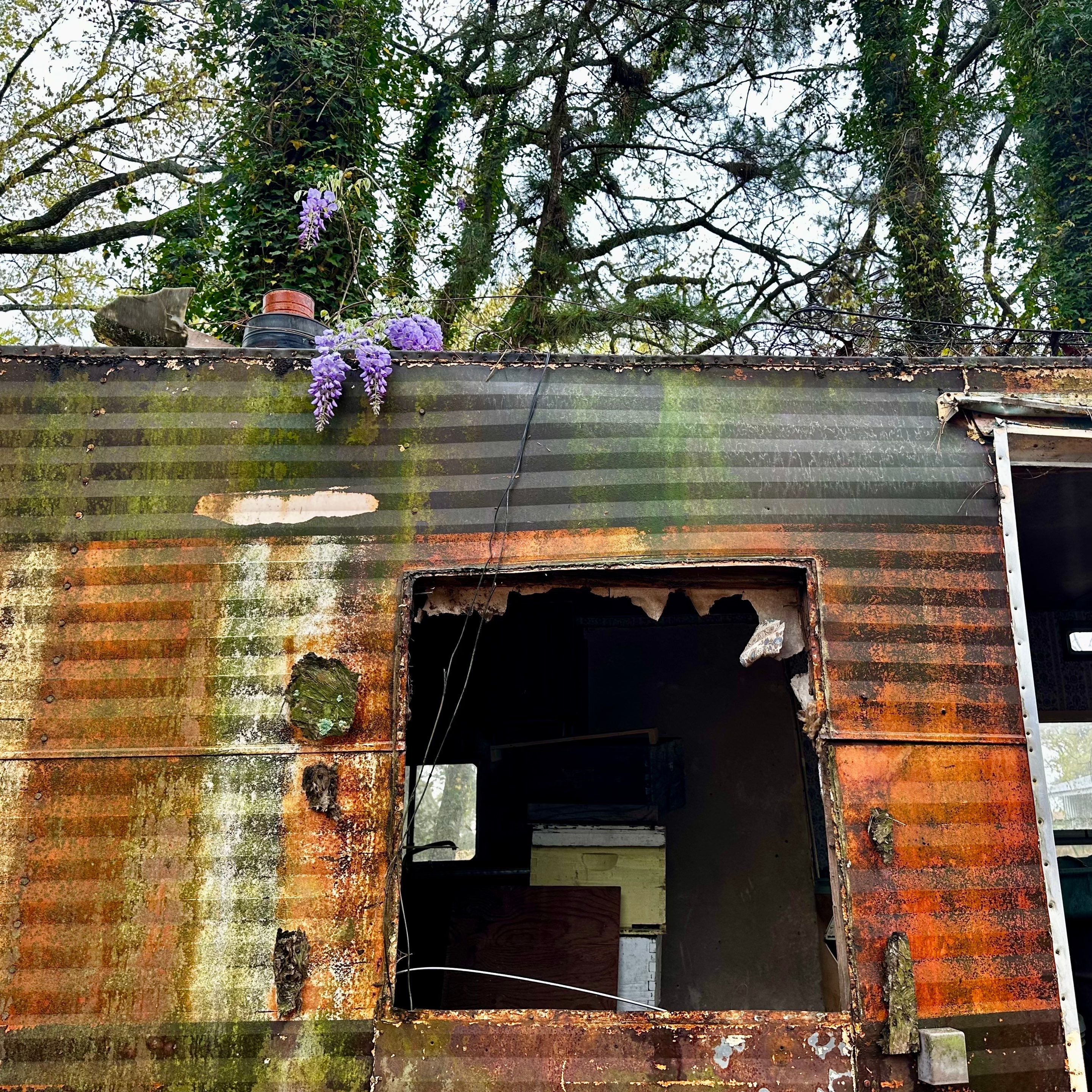 BeeGirl ETX HQ by Rockwall Honey Bee Company