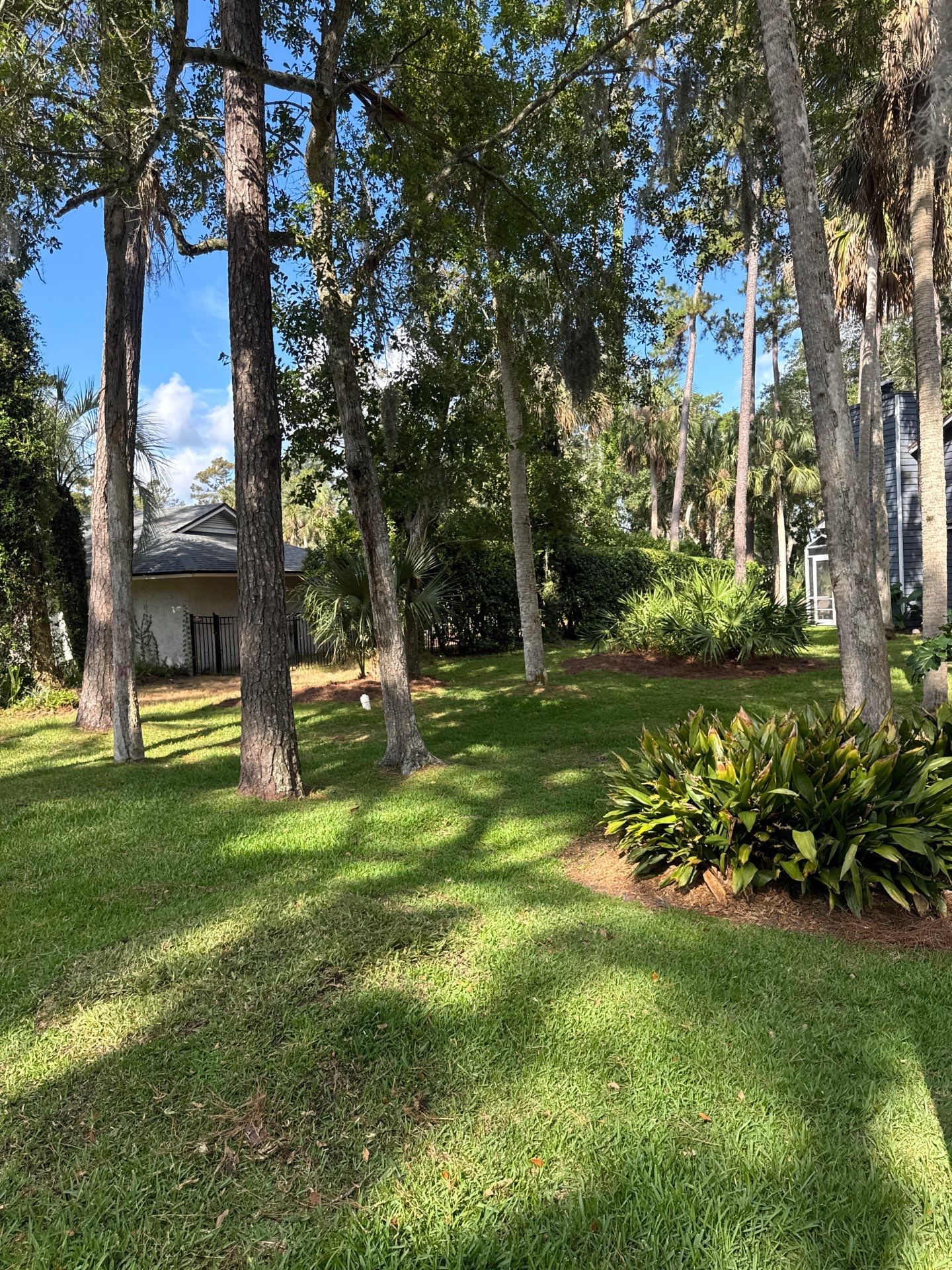 Residential | Pine Straw Install by ProGreen Services
