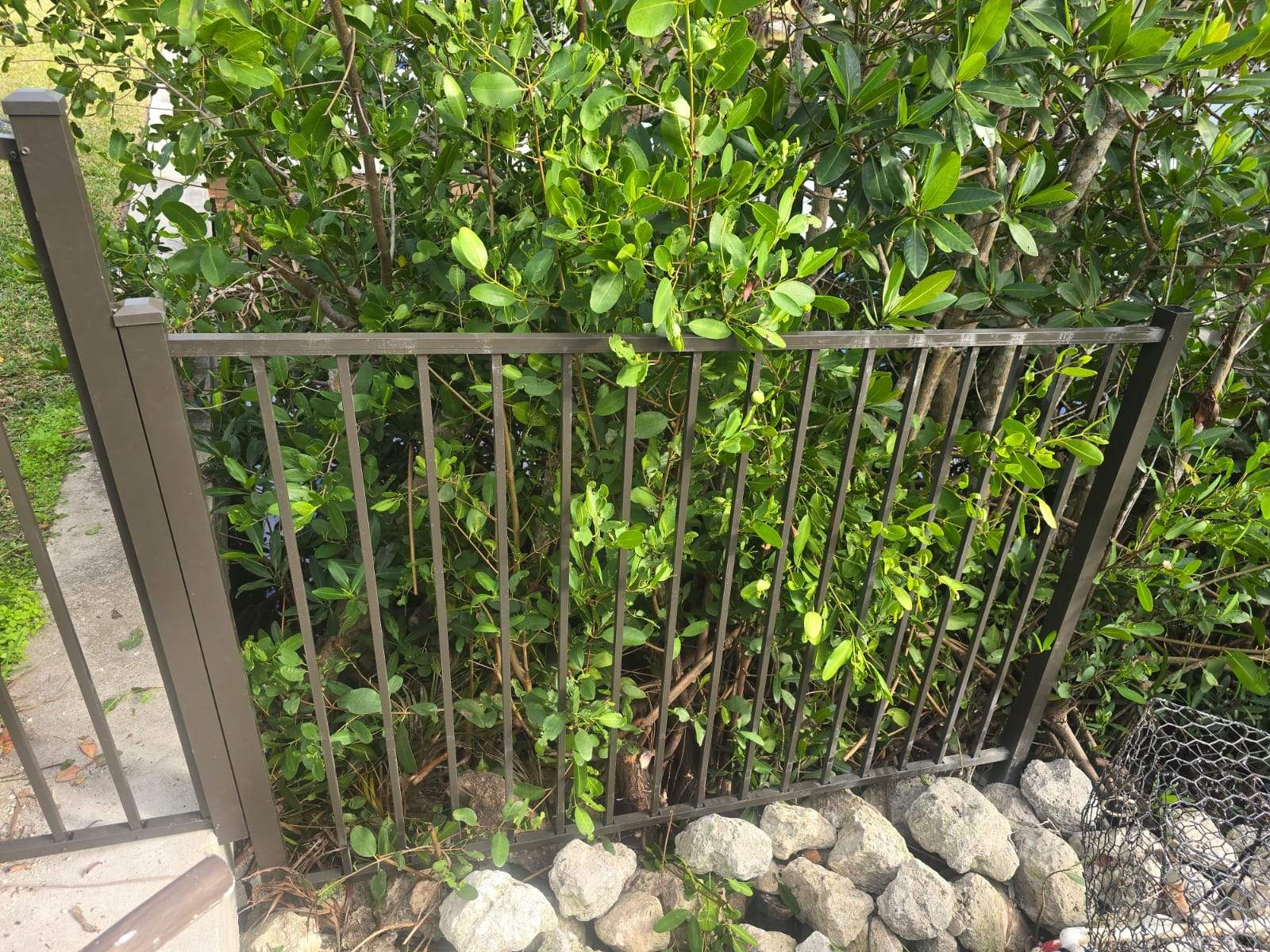 Bronze Aluminum Picket Fence Installation in Port Charlotte by True Fence LLC