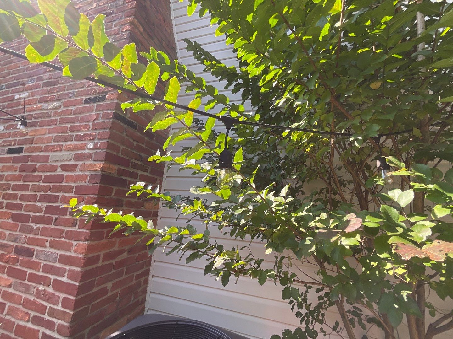 New Siding Installation  by Alpha Design Services