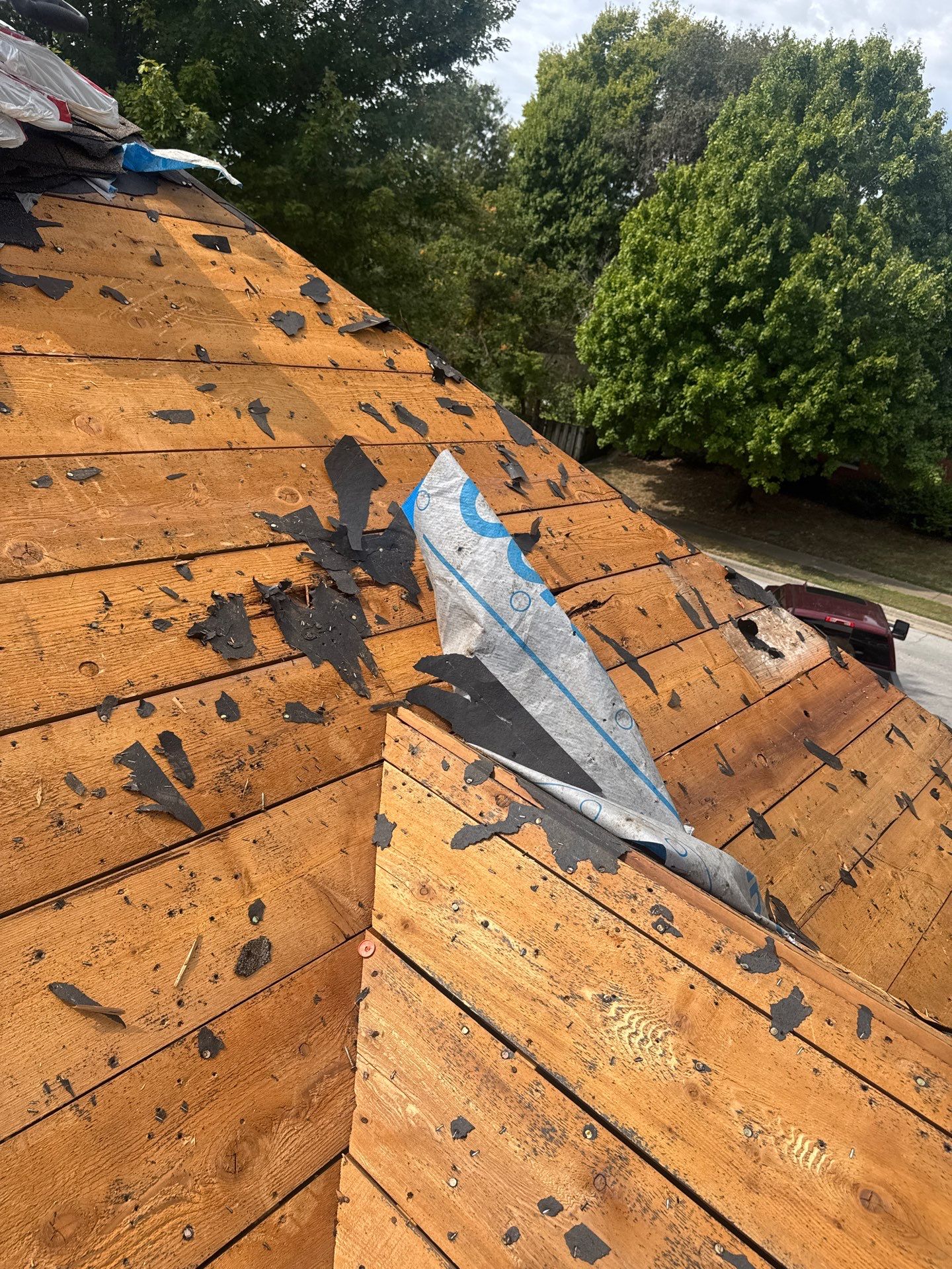 Residential Roofing + Gutters & Downspouts Install  by Titan Commercial & Residential Roofing 