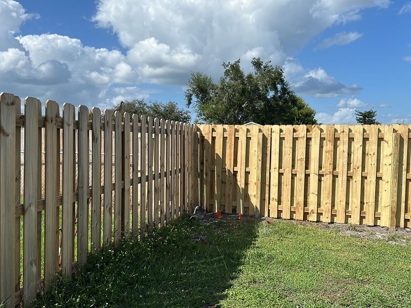 Wood Fence Installation using Wood Pressure Treated Fence  by Asap fence and gates, LLC