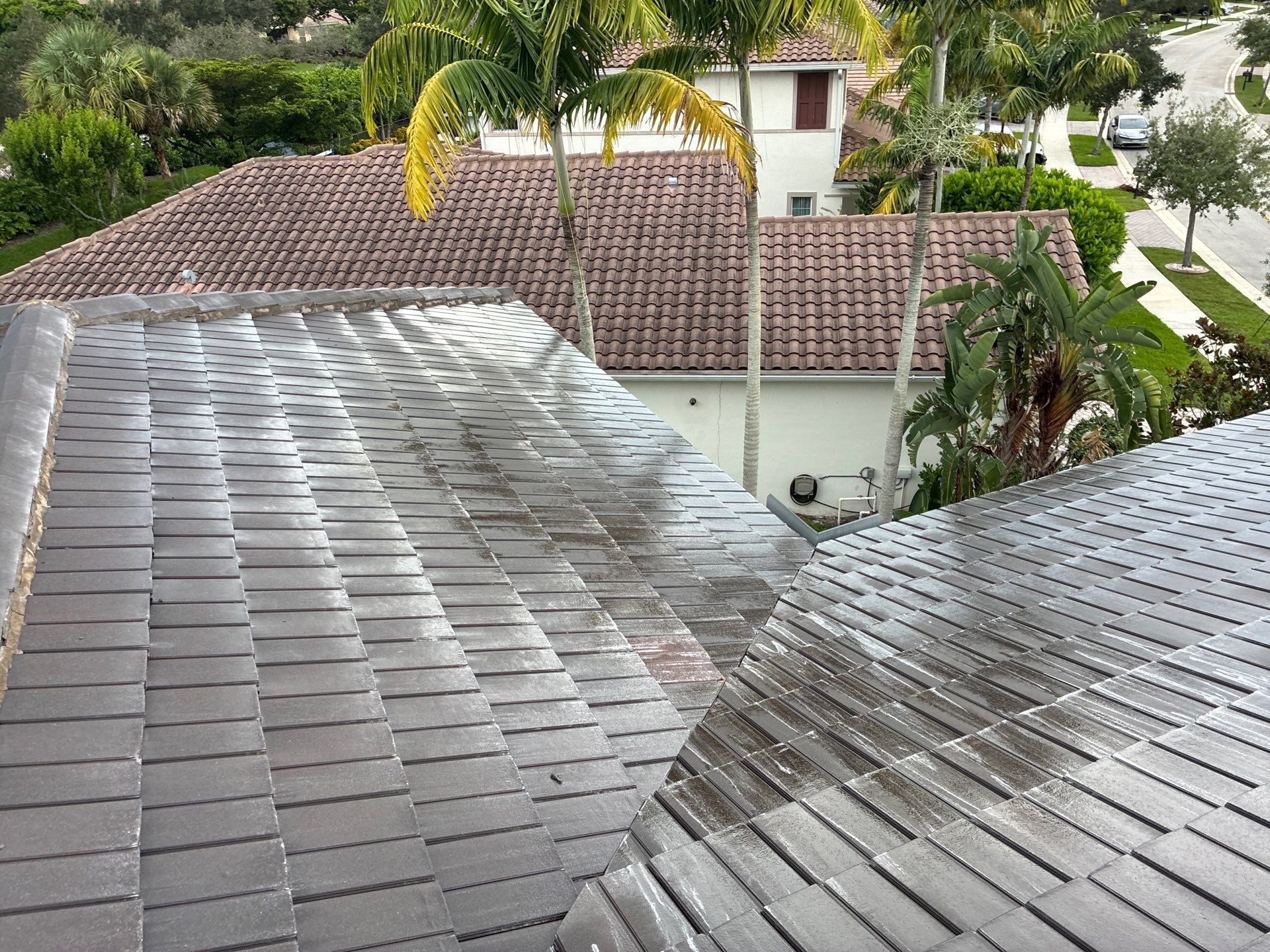 Heron Bay Parkland Painting by BKB Pressure Cleaning LLC