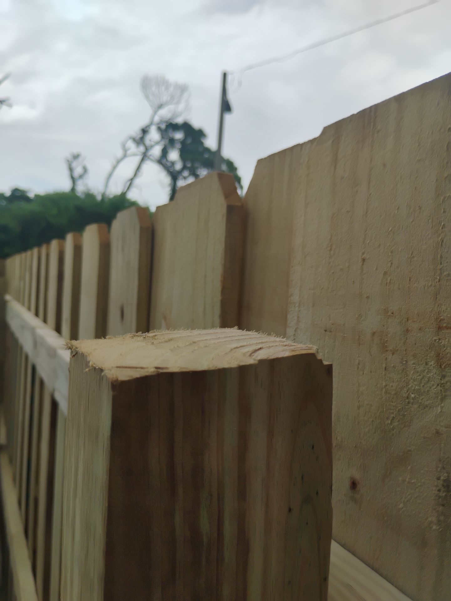 Custom Wood Privacy Fence and Double Gate in Venice by True Fence LLC
