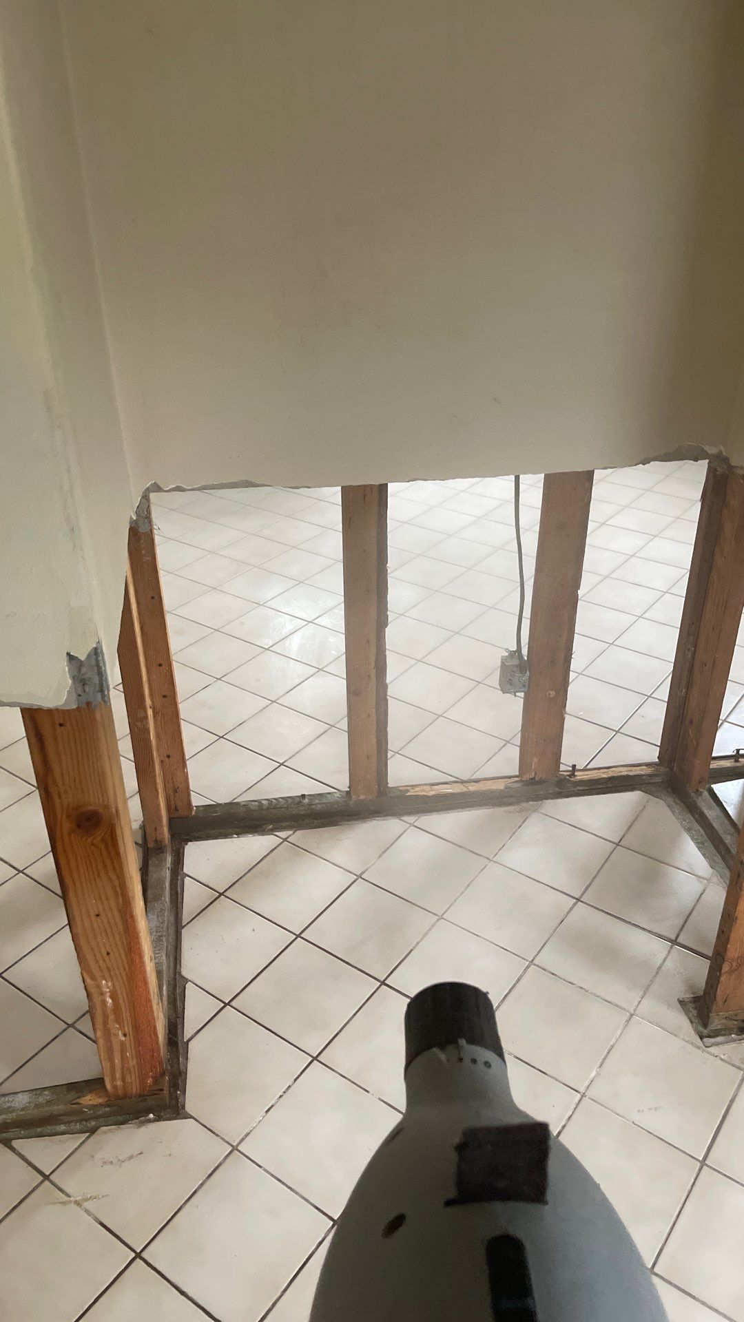 Mold Remediation  by THE RAPID TEAM