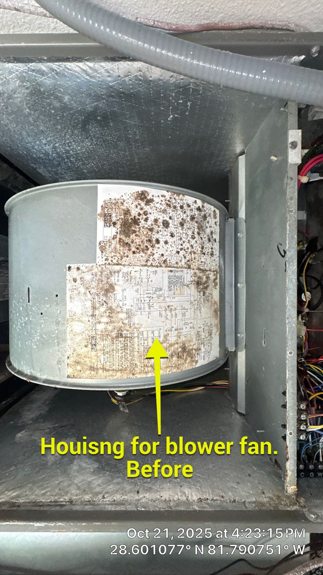Air Duct and Dryer Vent Cleaning in Groveland by Hygienic Air, Inc