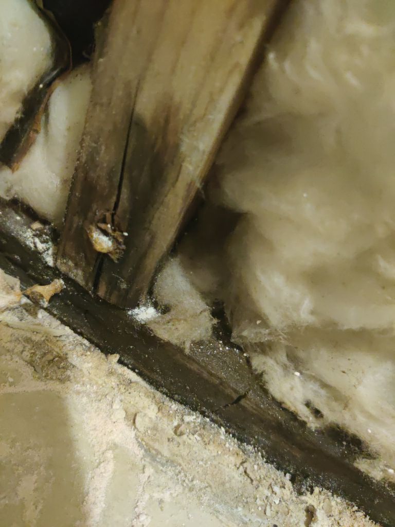 Water Damage Repair by Accountable Home Services