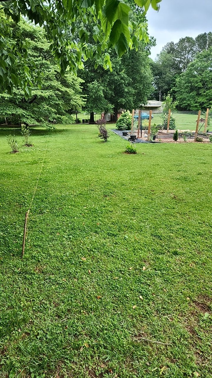 Fence Installation of 3 Rail Ranch with Wire Backing by Titans of Timber Fence & Stain