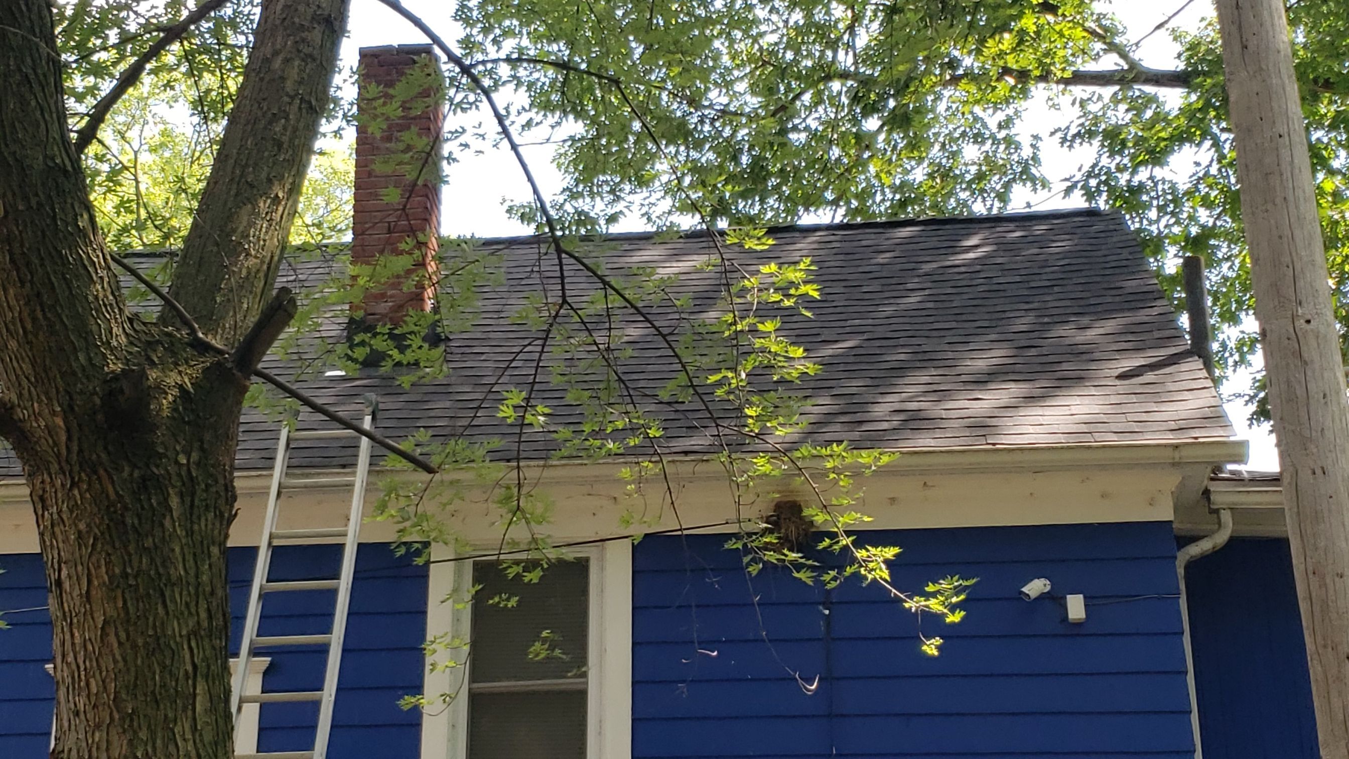 ATLAS PINNACLE COLOR: SCOTCHGARD BLACK DRIP EDGE: WHITE by Eagle Eye Roofing