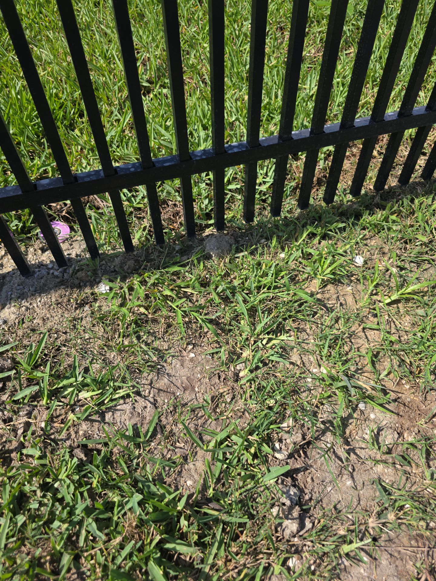 Puppy Picket Aluminum in Venice by True Fence LLC