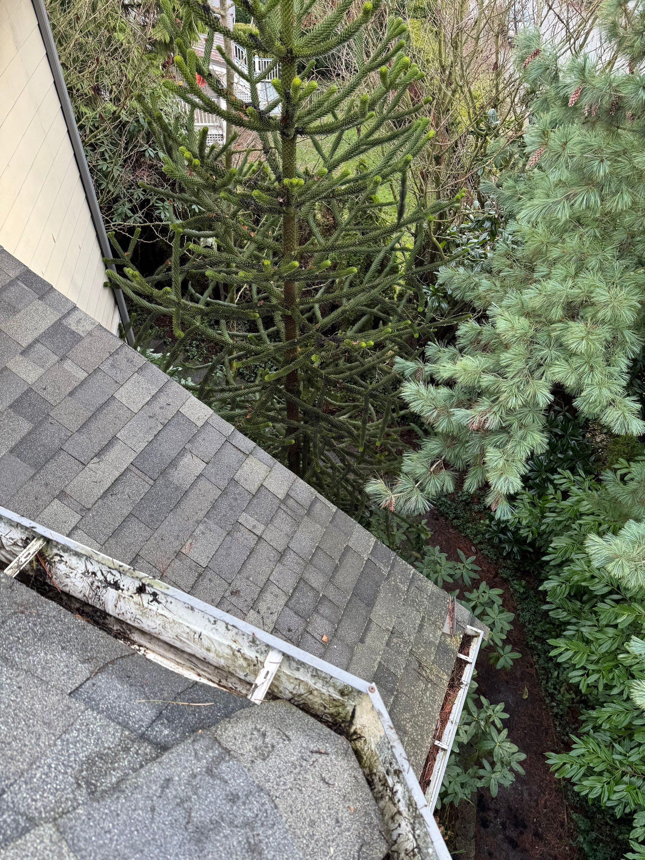 Gutter Cleaning by YVR Construction Group