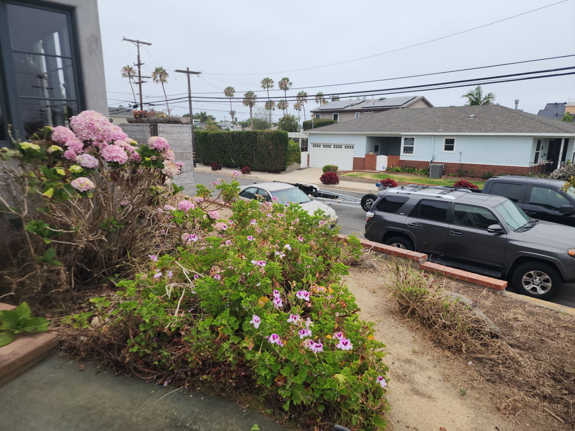 San Diego Landscape Clean Up by Yard Techs