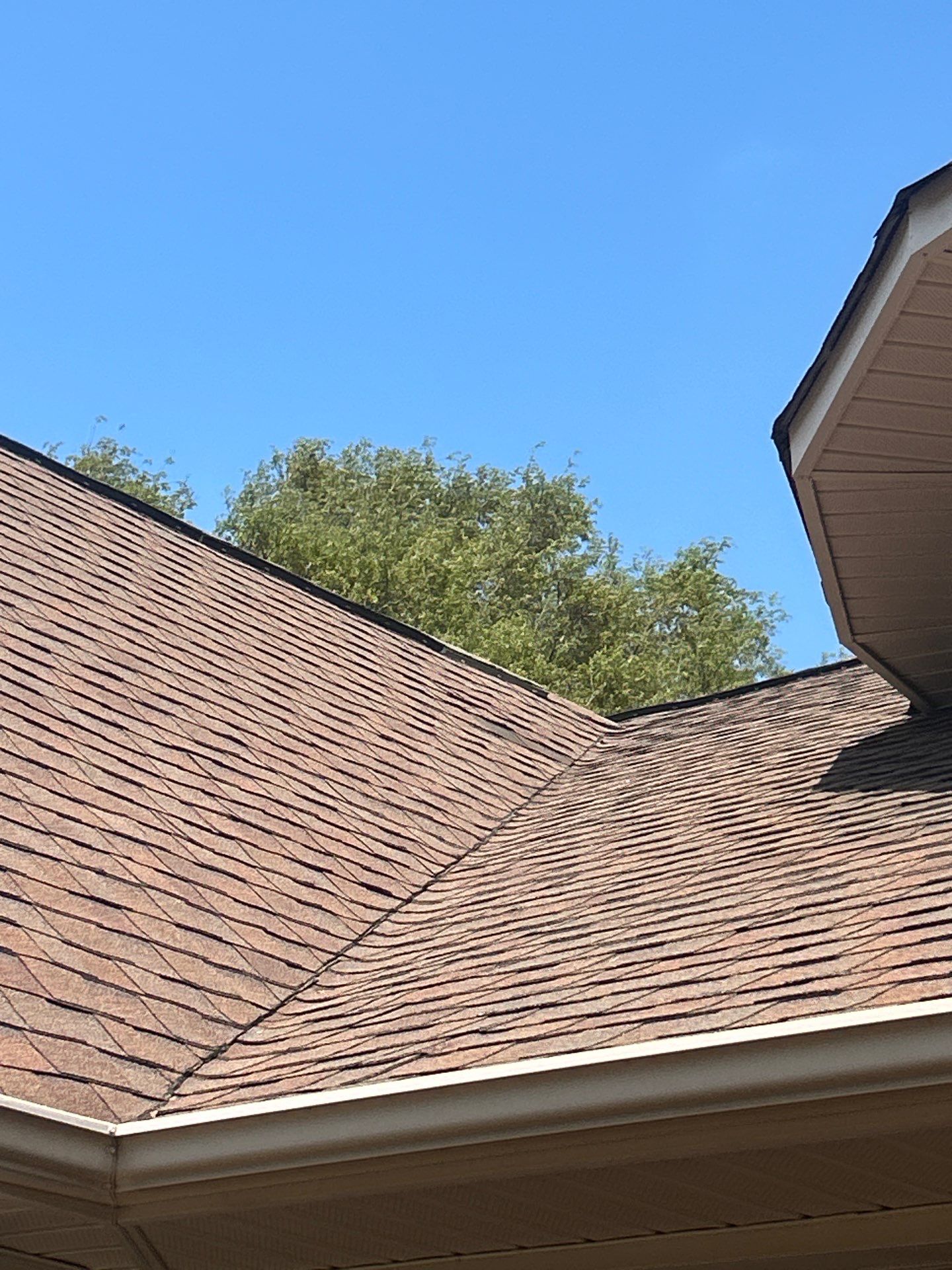 Project in Westminster by Roofsters