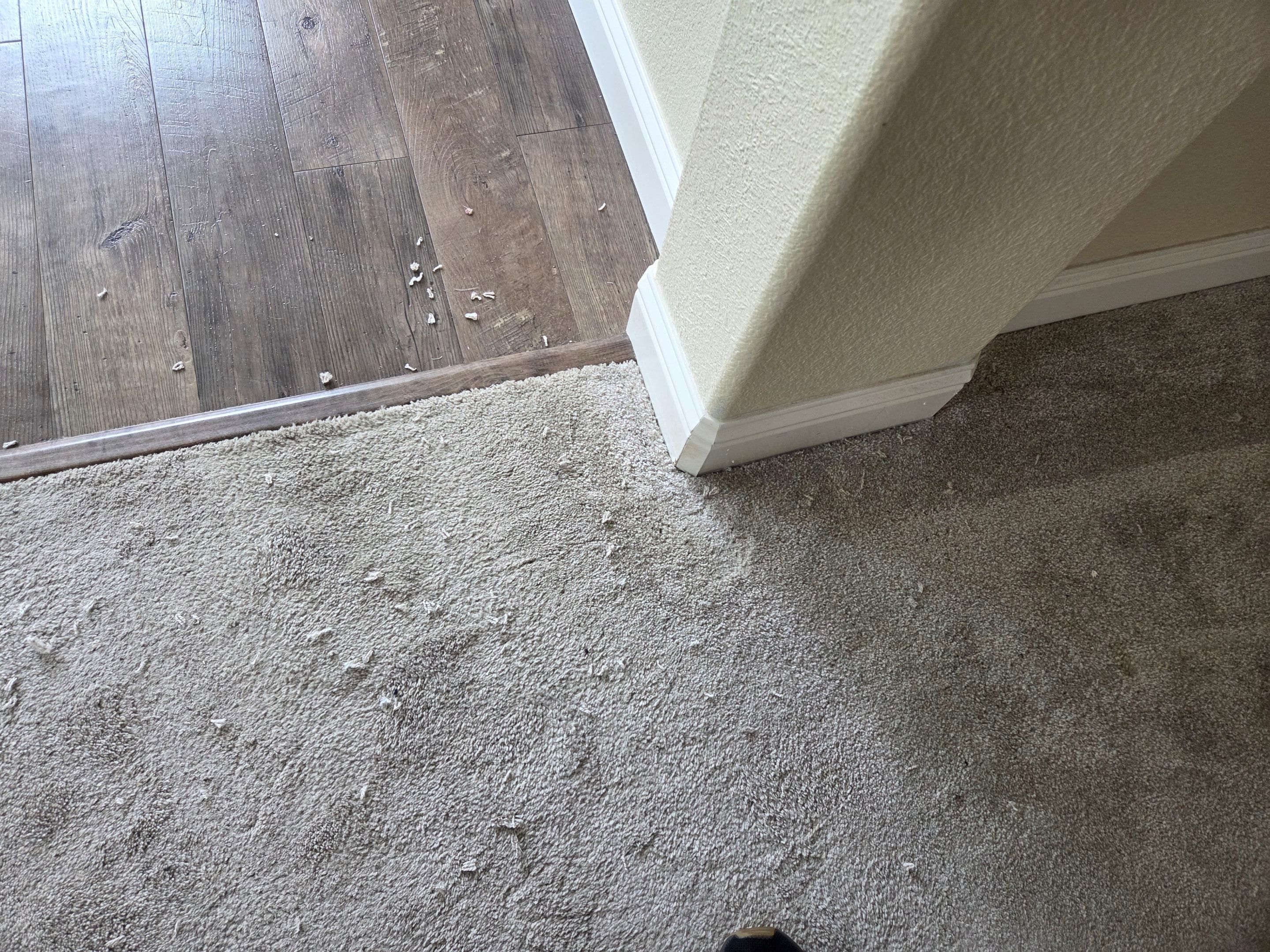 Carmichael Carpet Re-stretching and Cleaning by Ardent Carpet Restore LLC