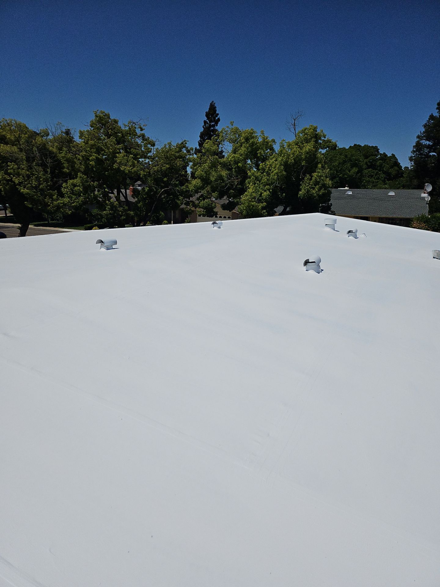 Single-ply restoration system using Benchmark/PUMA XL coatings over TPO single-ply roofing by Straight Edge Roofing Inc