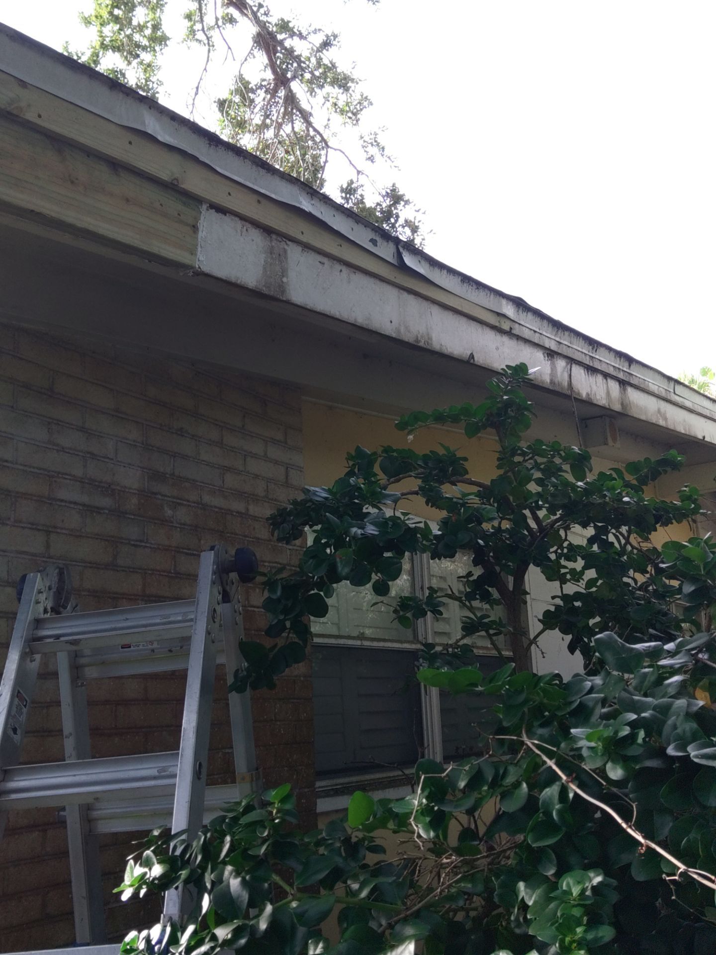Gutter and Fascia Repair and Maintenance in Siesta Key FL by Gutter Professors