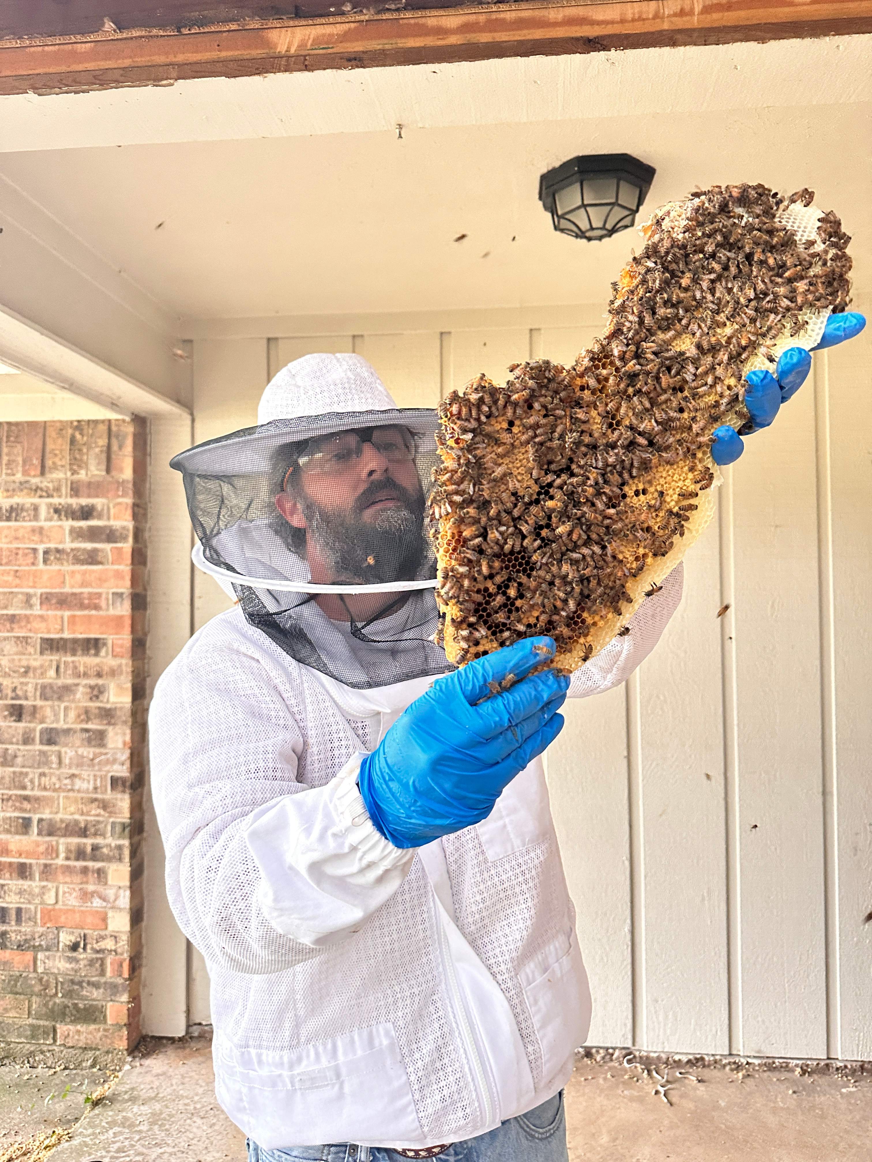 Yes, Professor. by Rockwall Honey Bee Company