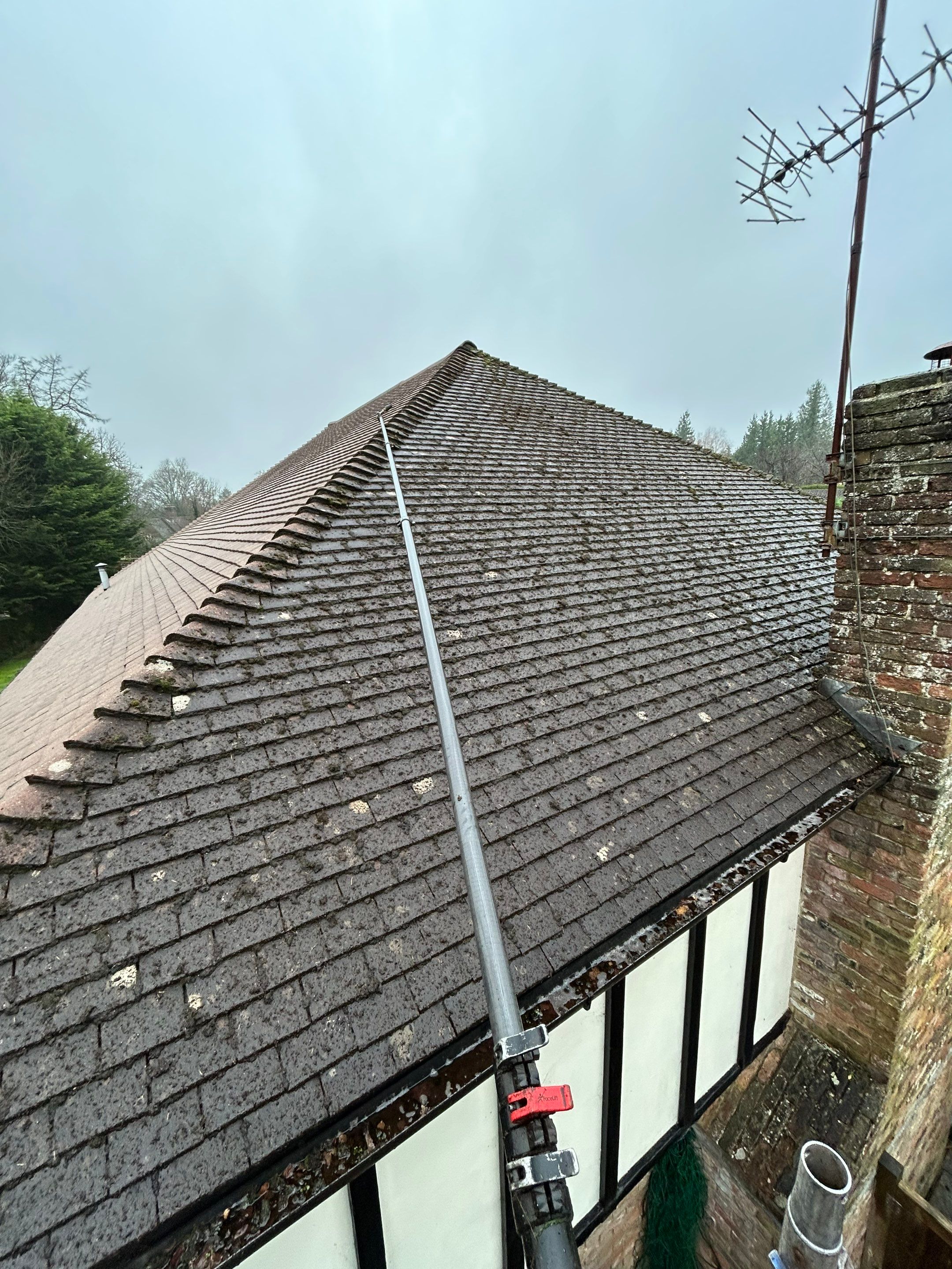 Roof Cleaning Kingswood by Ges Exterior Cleaning ltd