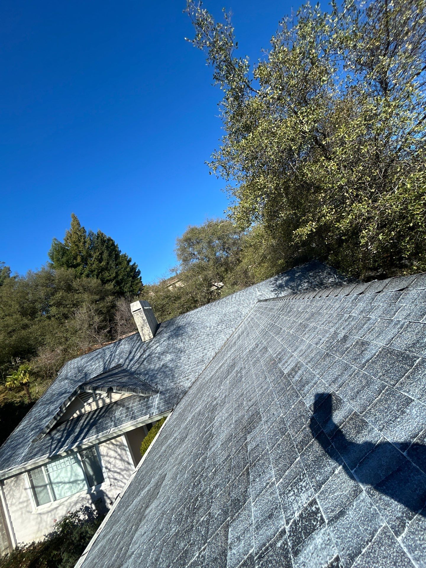 Roof Rejuvenation using Roof Maxx Treatment by Roof Maxx of Folsom