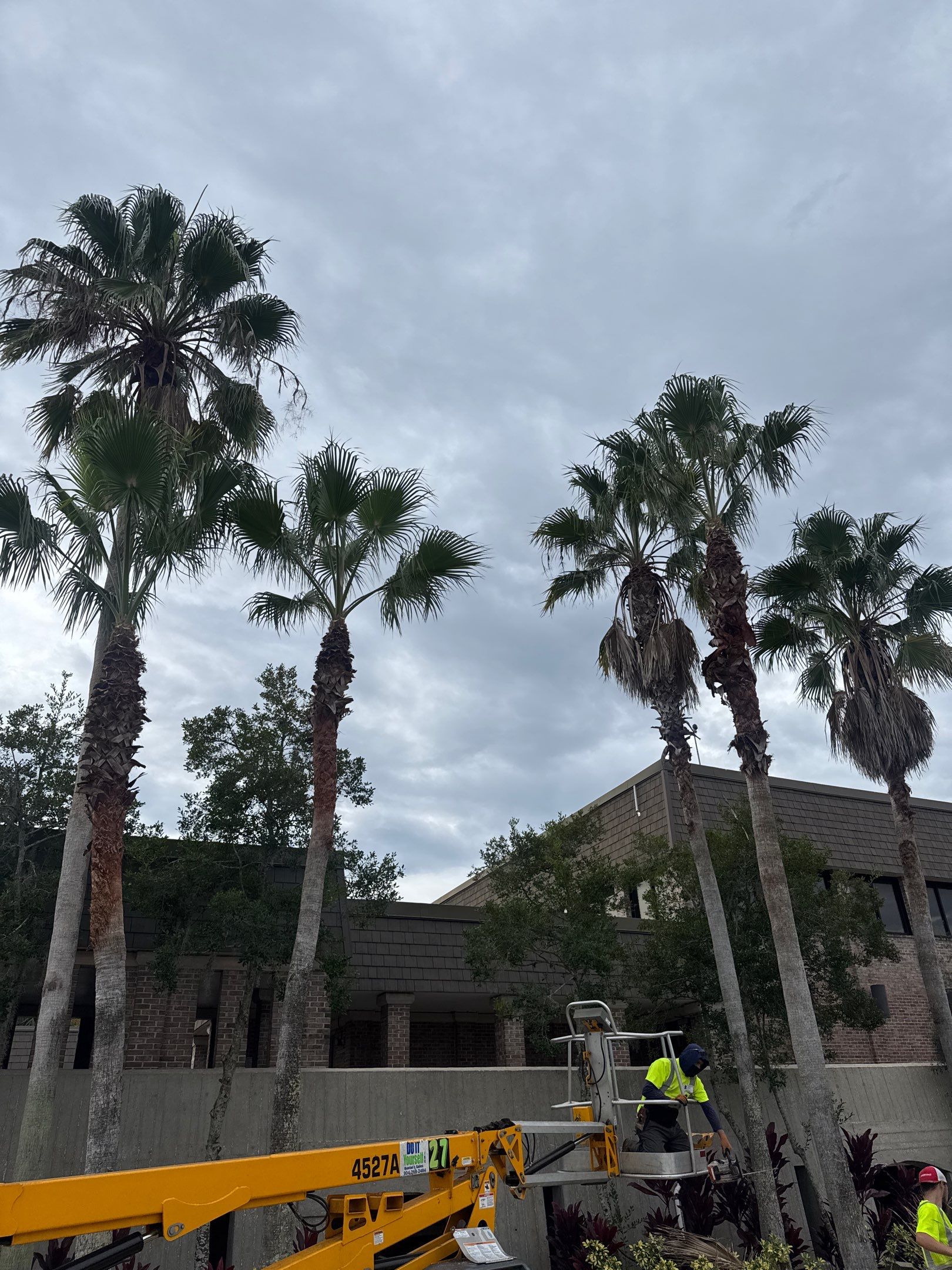 Volunteer Work | Episcopal High School of Jacksonville by ProGreen Services