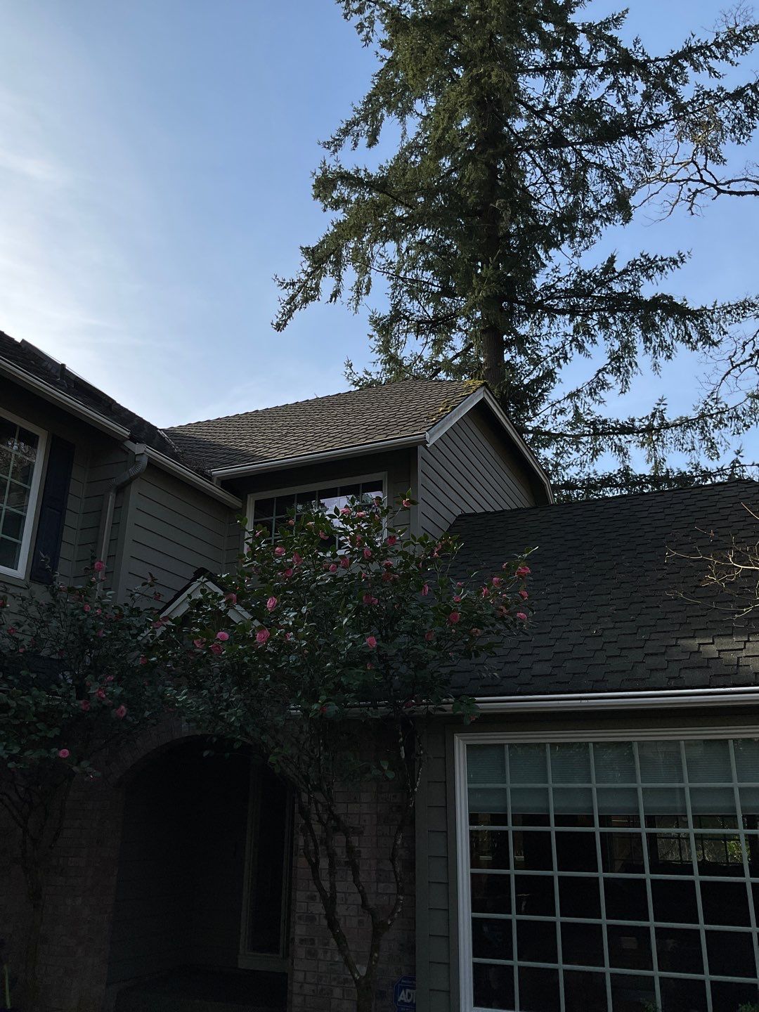 Roof Treatment and Driveway Wash Using Biocide by Willamette Outdoor Wash LLC