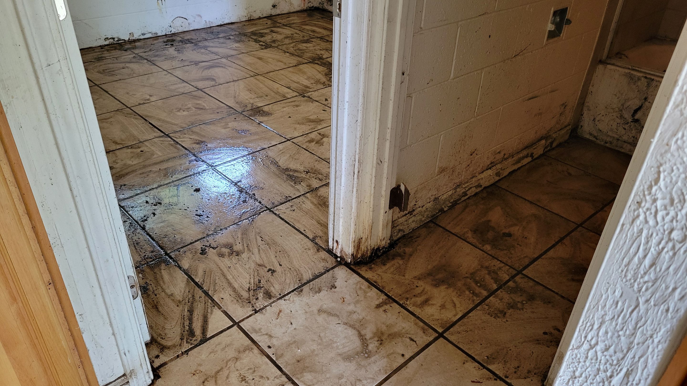Extreme, Tile Cleaning by Ardent Carpet Restore LLC