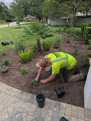 Deerwood Resident | Landscape Update