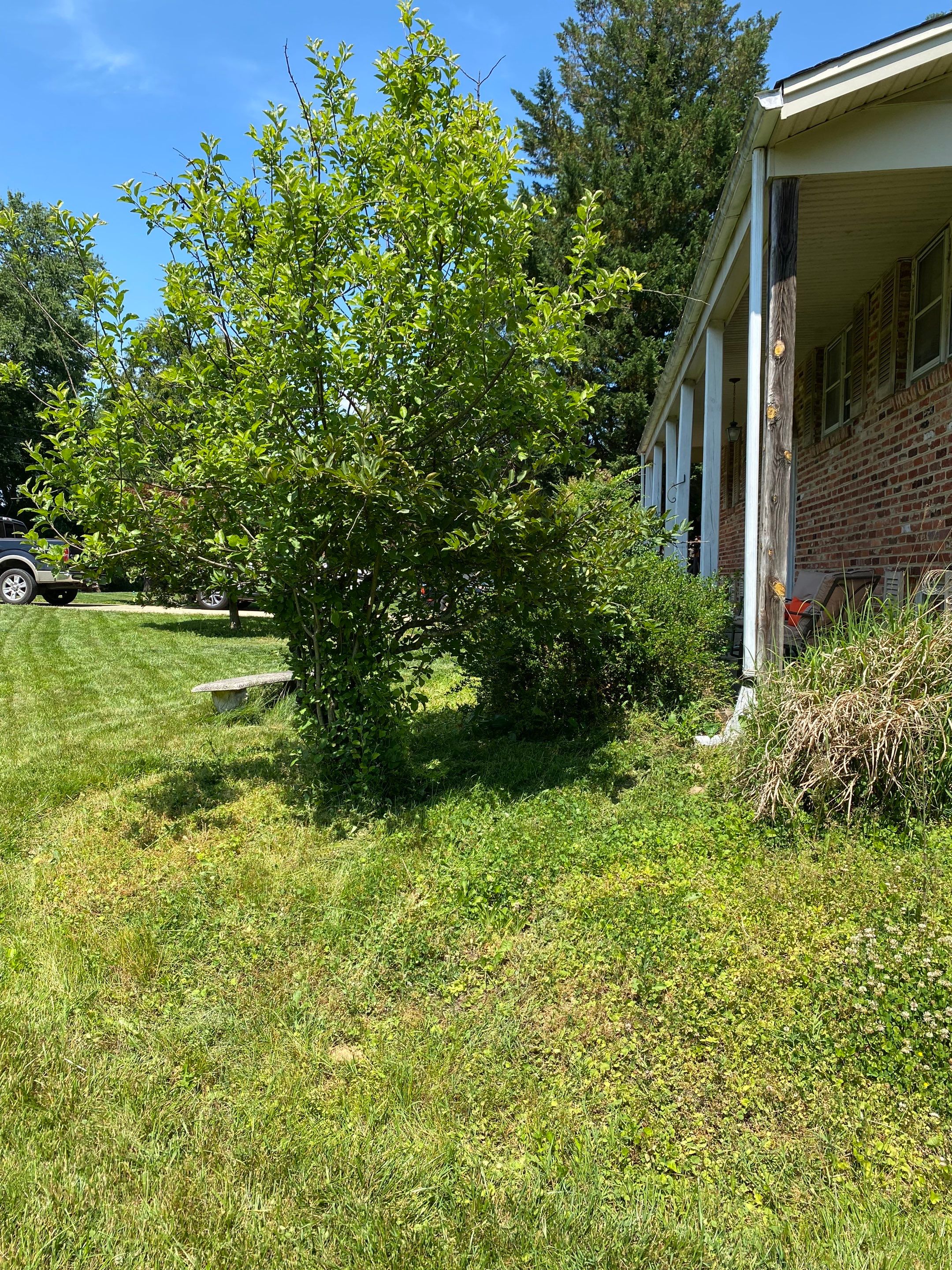Landscape cleanup by The Smet Companies, LLC
