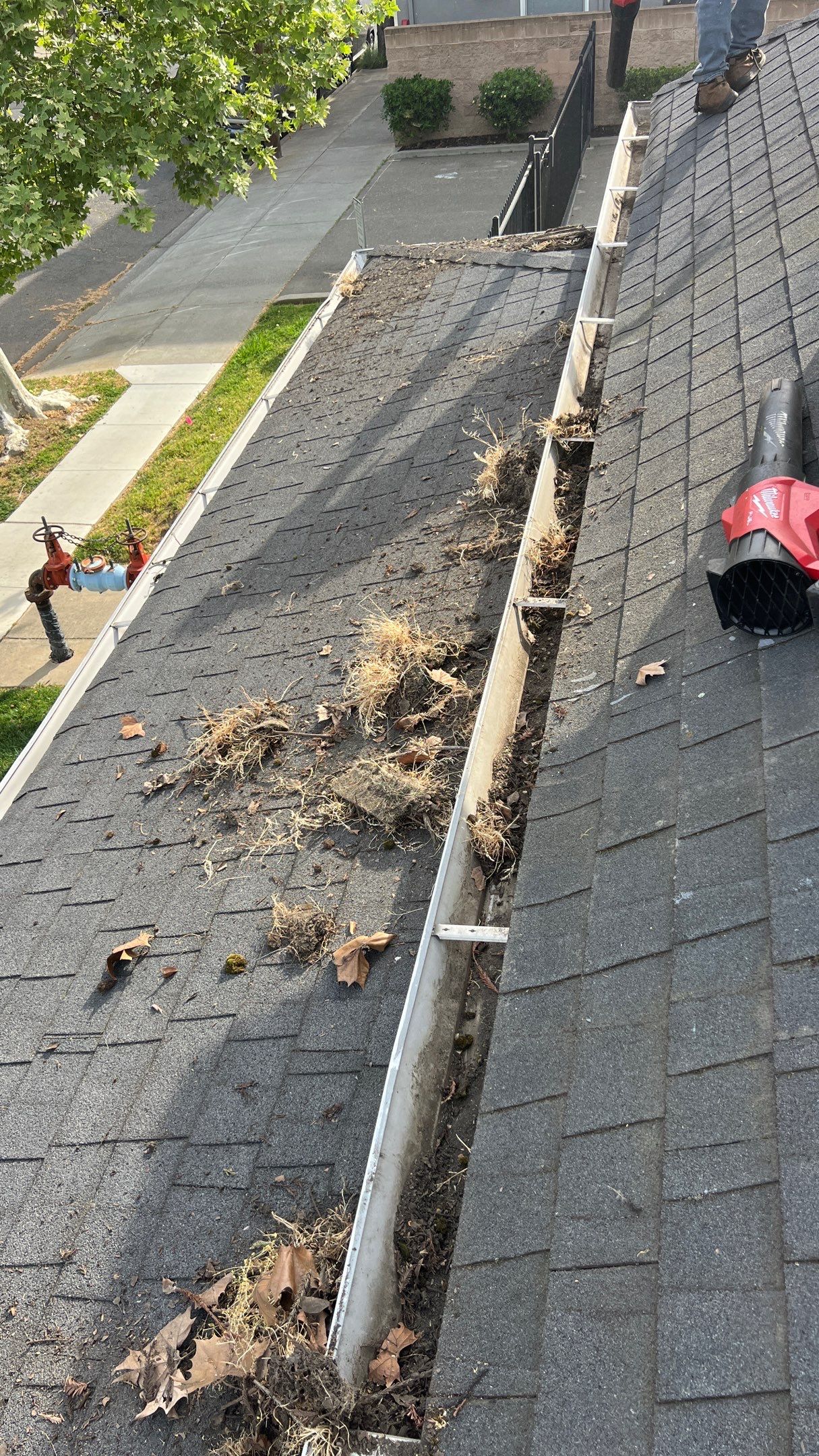 Roof Rejuvenation using Roof Maxx Treatment by Roof Maxx of Folsom