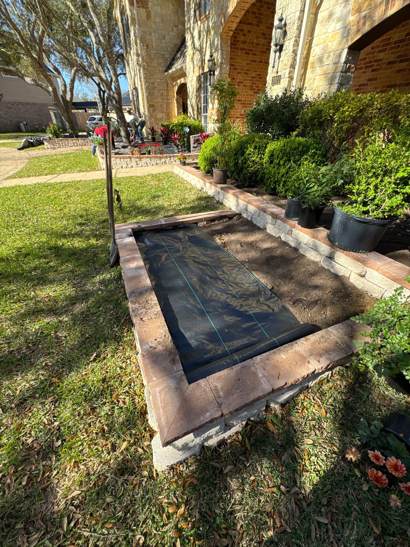 🌿 Mr. George – A True Curb Appeal Conversion by Texas Urban Elements