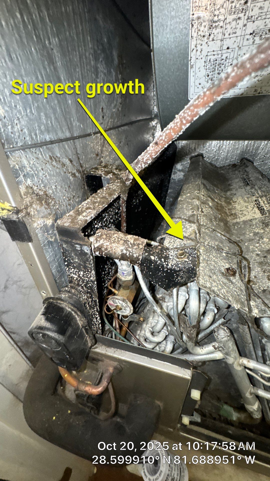 Air Duct Cleaning in Montverde by Hygienic Air, Inc