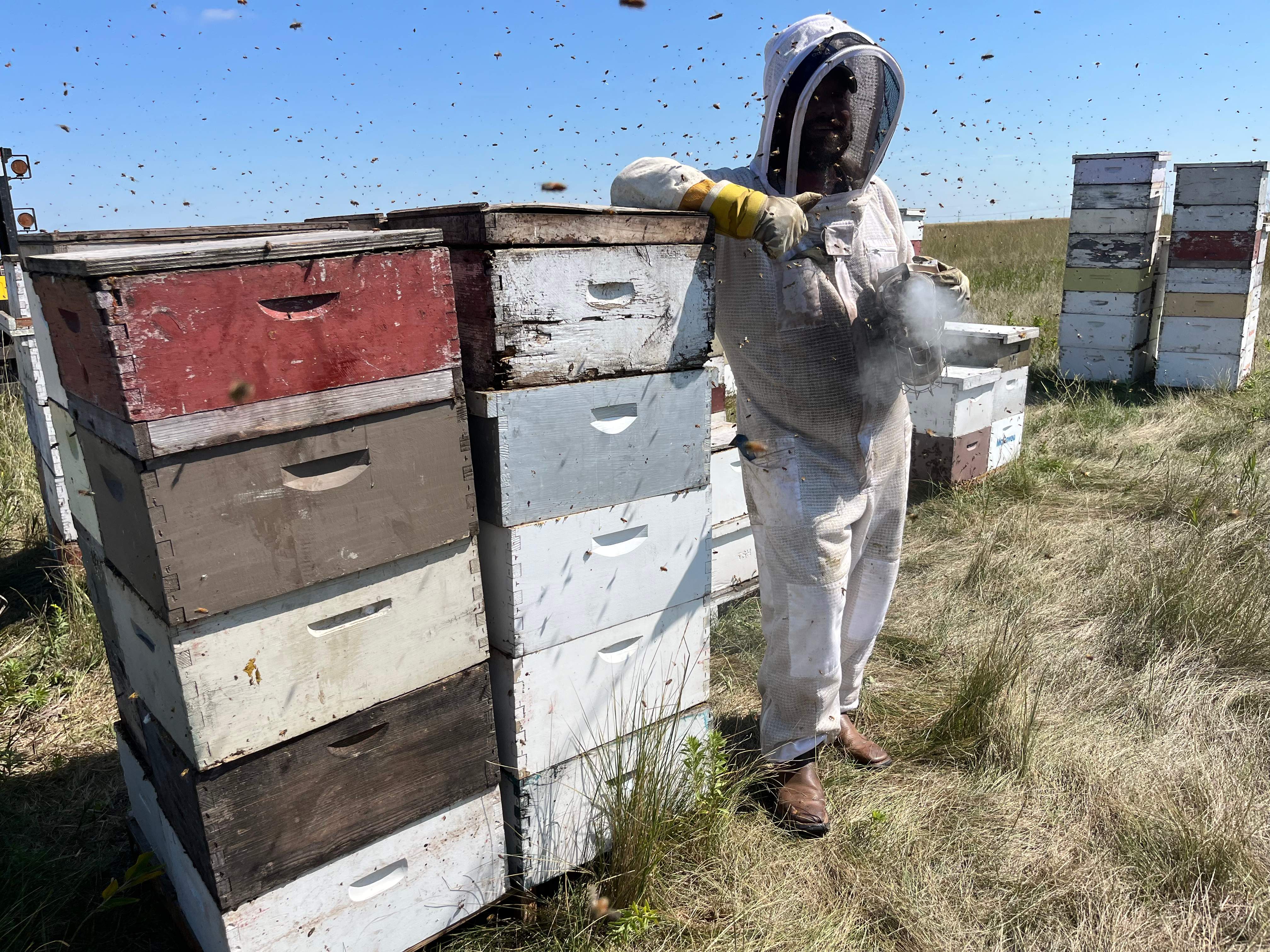 BeeGirl's Honey House in the Midwest by Rockwall Honey Bee Company