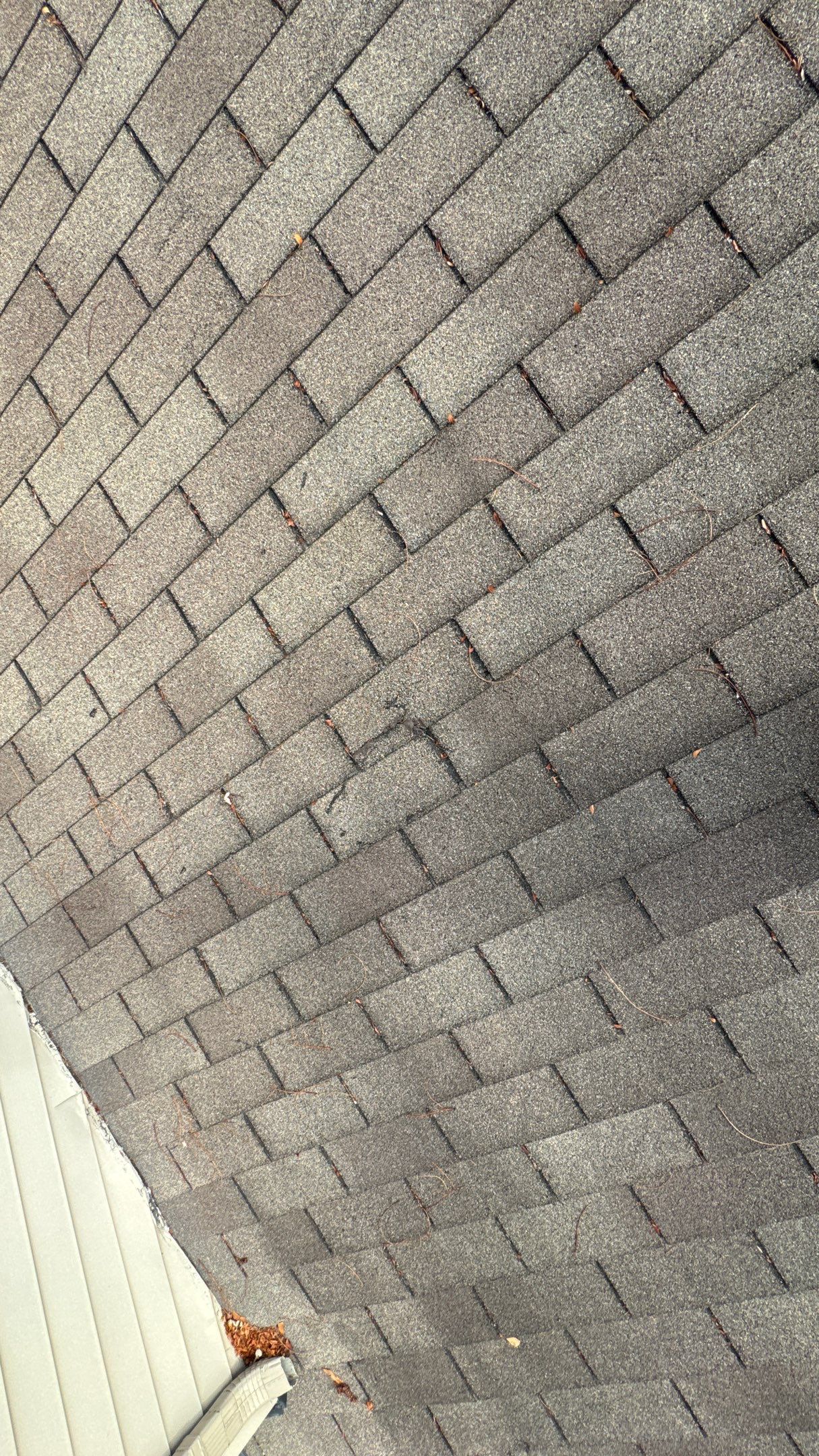 Roof Replacement using Owens Corning Driftwood by 180 Contractors