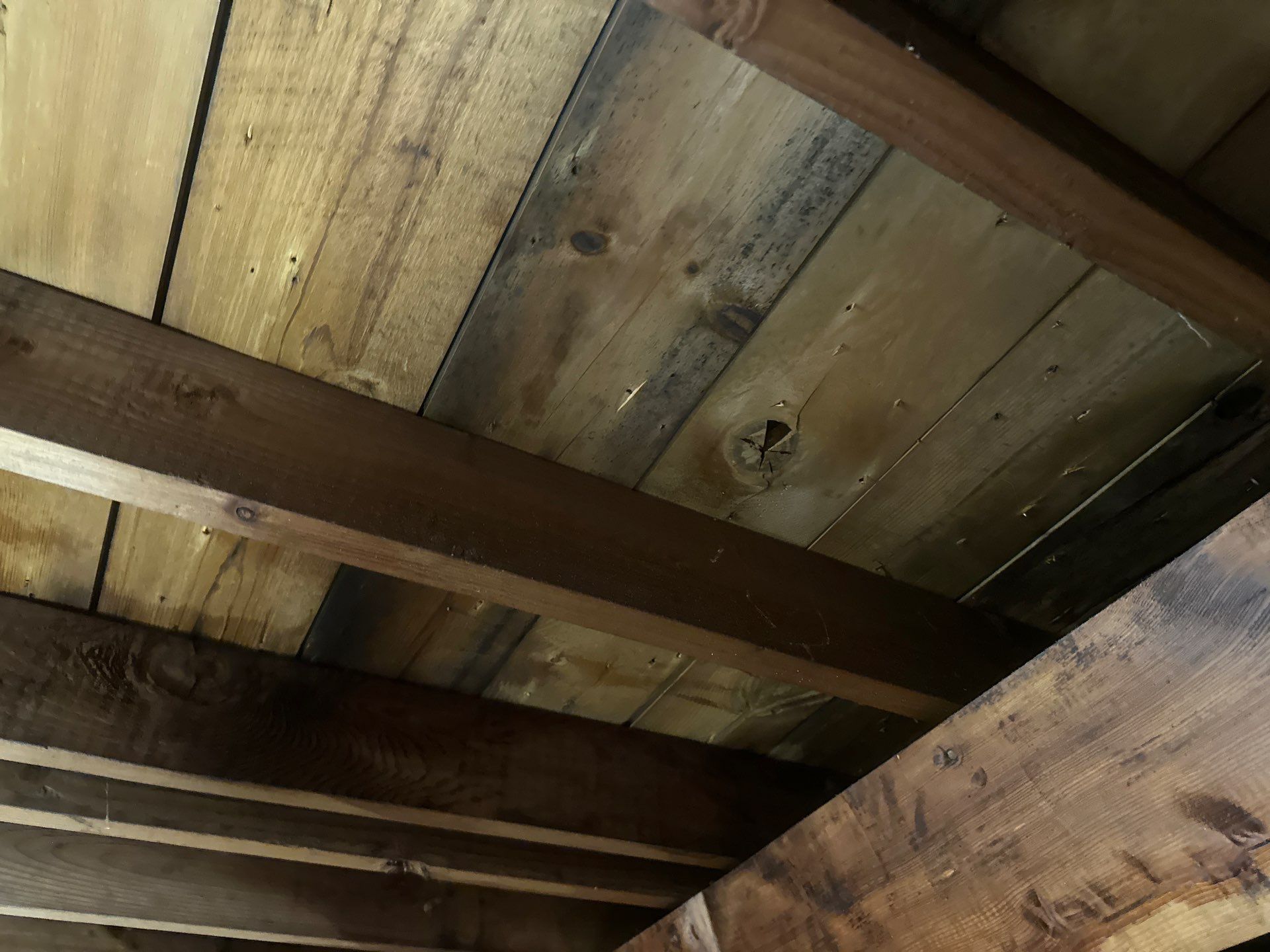 Addressing Attic Moisture, Mold, and Energy Loss in Dillonvale, OH 43917 by Home Environment Solutions