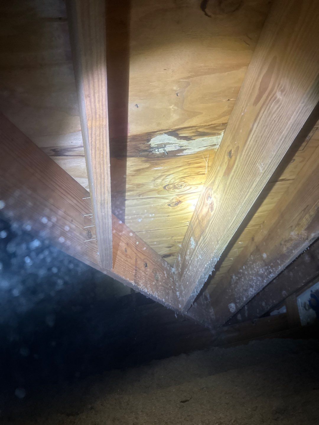 Roof Repair Richmond by Roof Repair Services LLC