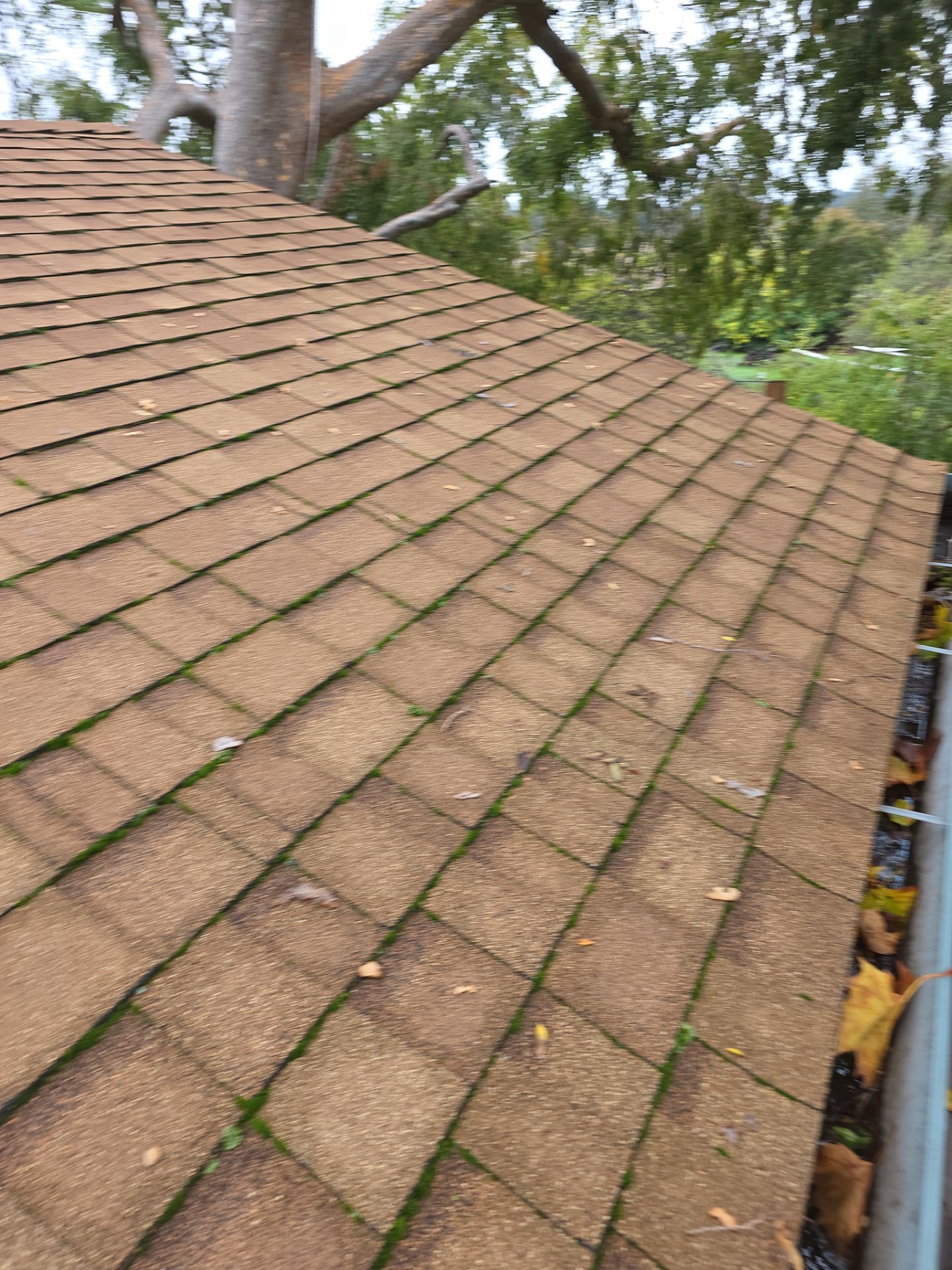 Roof Rejuvenation using Roof Maxx Treatment by Roof Maxx of Folsom