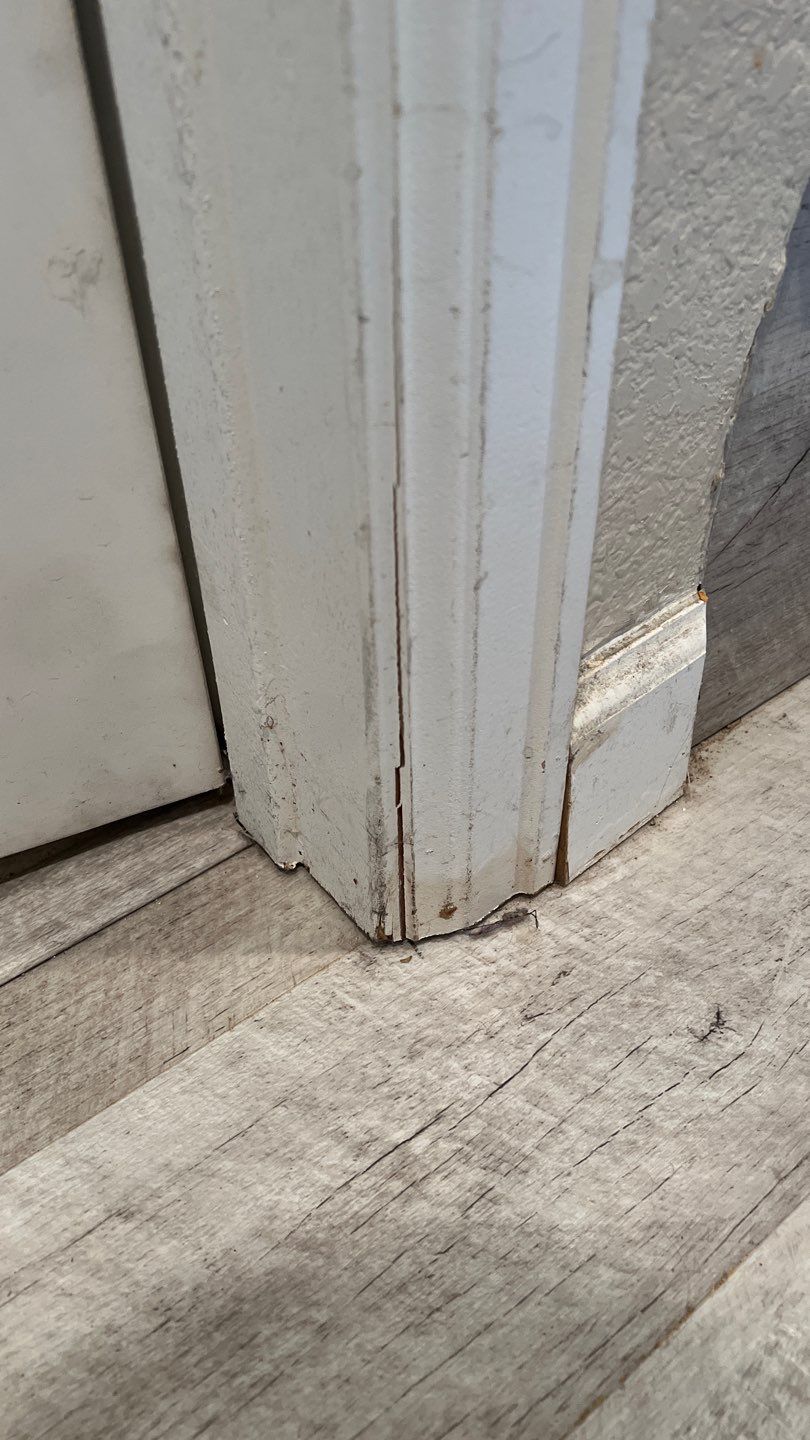 Water Damage and Mold Remediation by Accountable Home Services