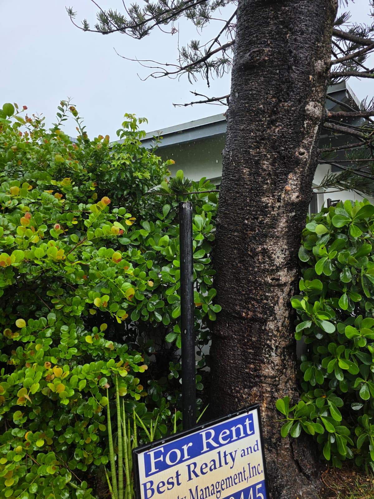 Water Damage Claim in Hollywood by FLAPA & KeyStone