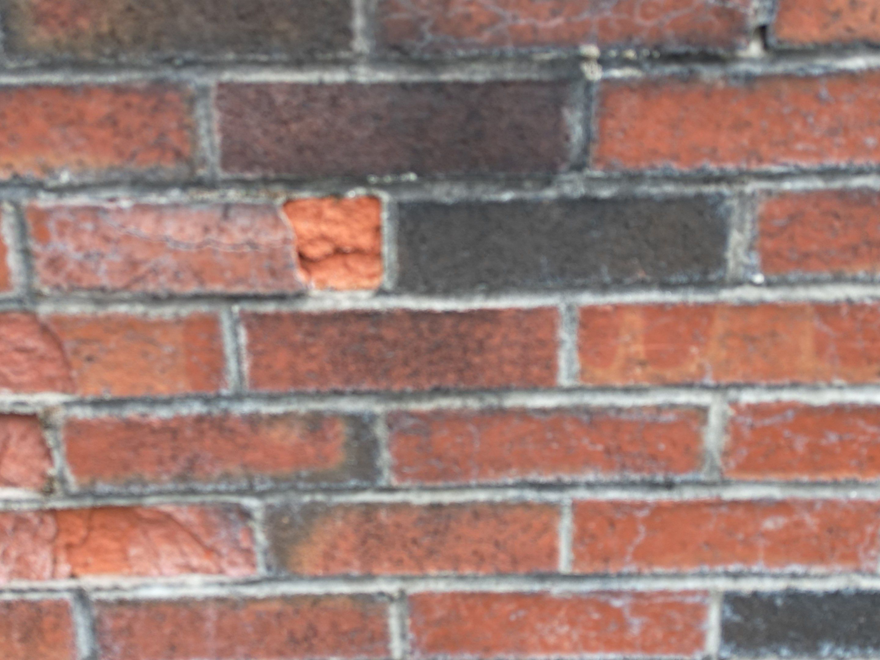 Siding | Dunstable by Mighty Dog Roofing of Greater Middlesex County