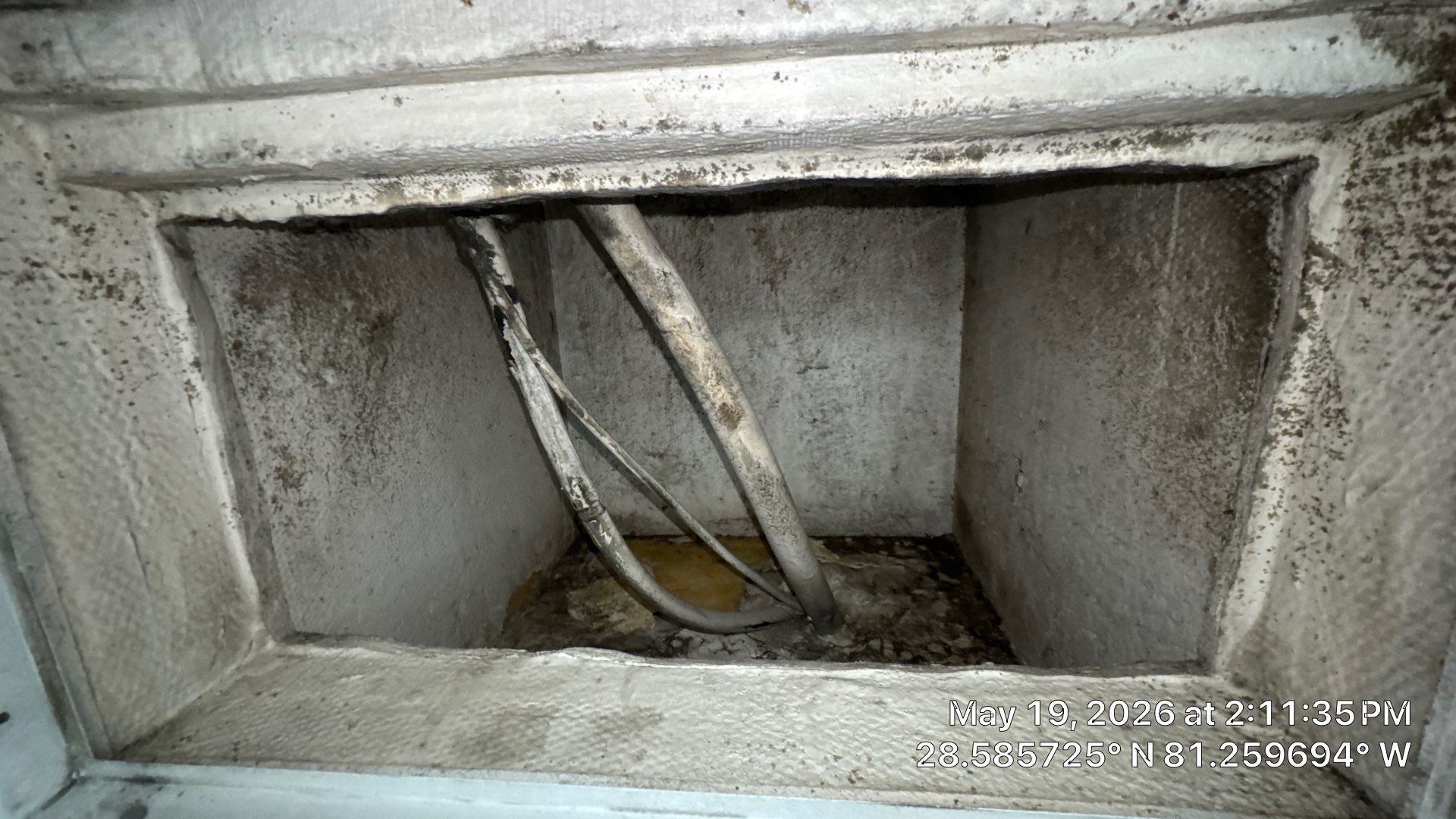 Air Duct Cleaning in Orlando by Hygienic Air, Inc